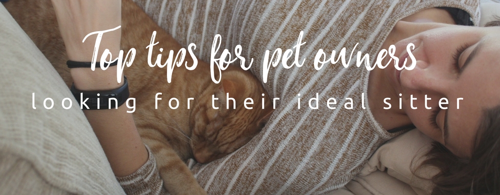top tips to help pet owners find their ideal sitter and make the looking for a sitter