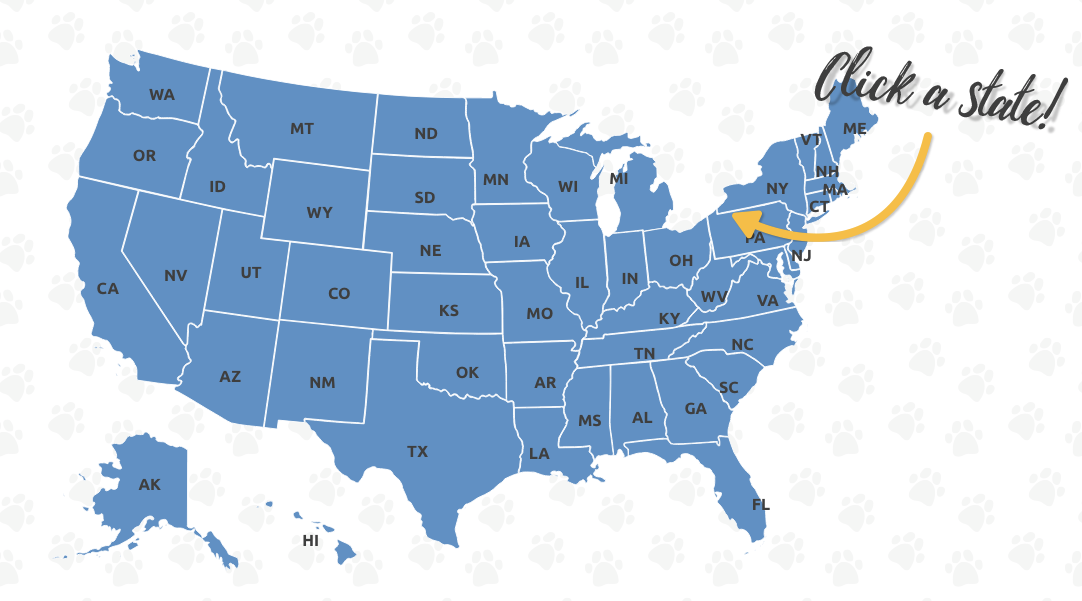 The most popular pets by state