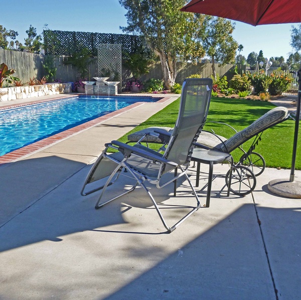 sitter san diego easy care bichon frise and awesome san diego home trustedhousesitters sitter san diego easy care bichon frise and awesome san diego home trustedhousesitters