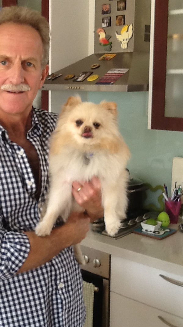 dog sitter required for our pomeranian trustedhousesitters dog sitter required for our pomeranian trustedhousesitters