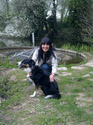 House & Pet Sitters from Derby, UK - Image 1