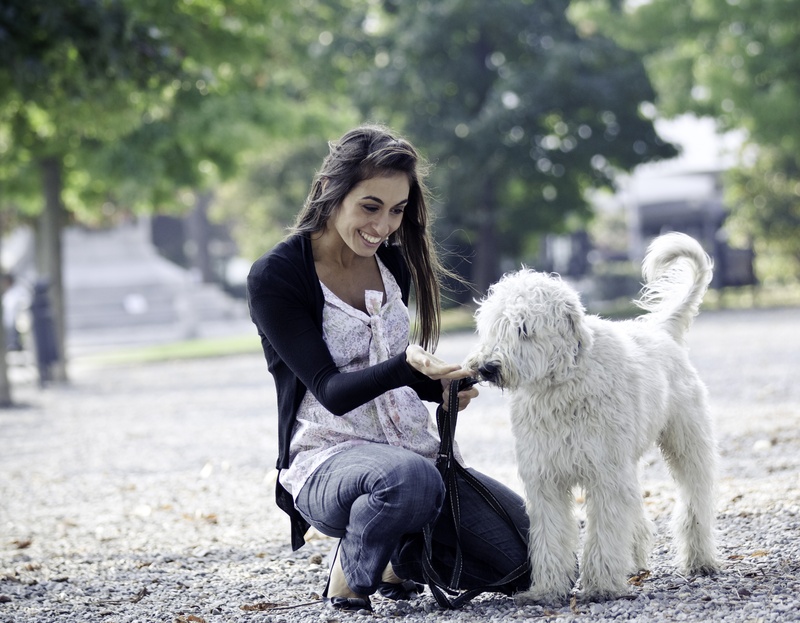 free dog sitters