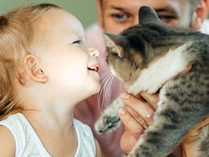 CATS AND BABIES: WHAT YOU NEED TO KNOW