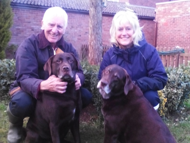 free dog sitters