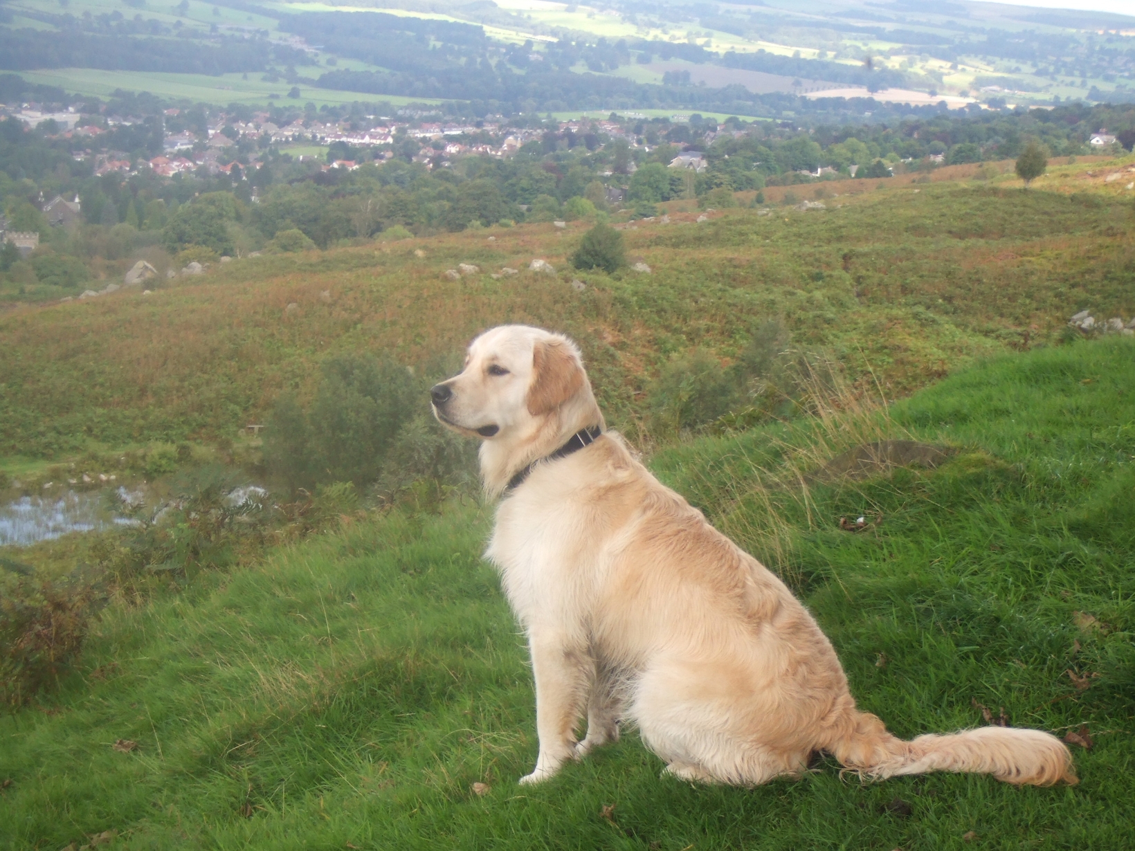 Glynis & Doug from Ilkley, United Kingdom