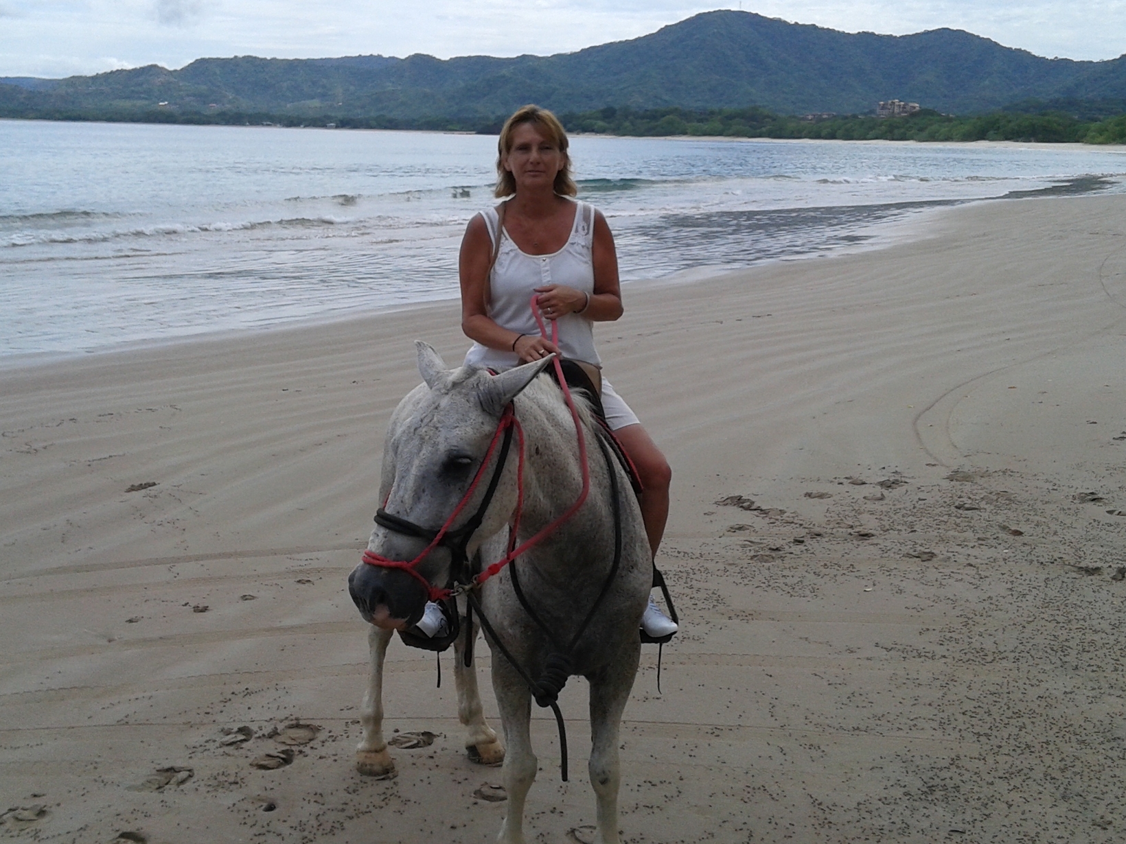 Terri from Innisfil, Ontario, Canada