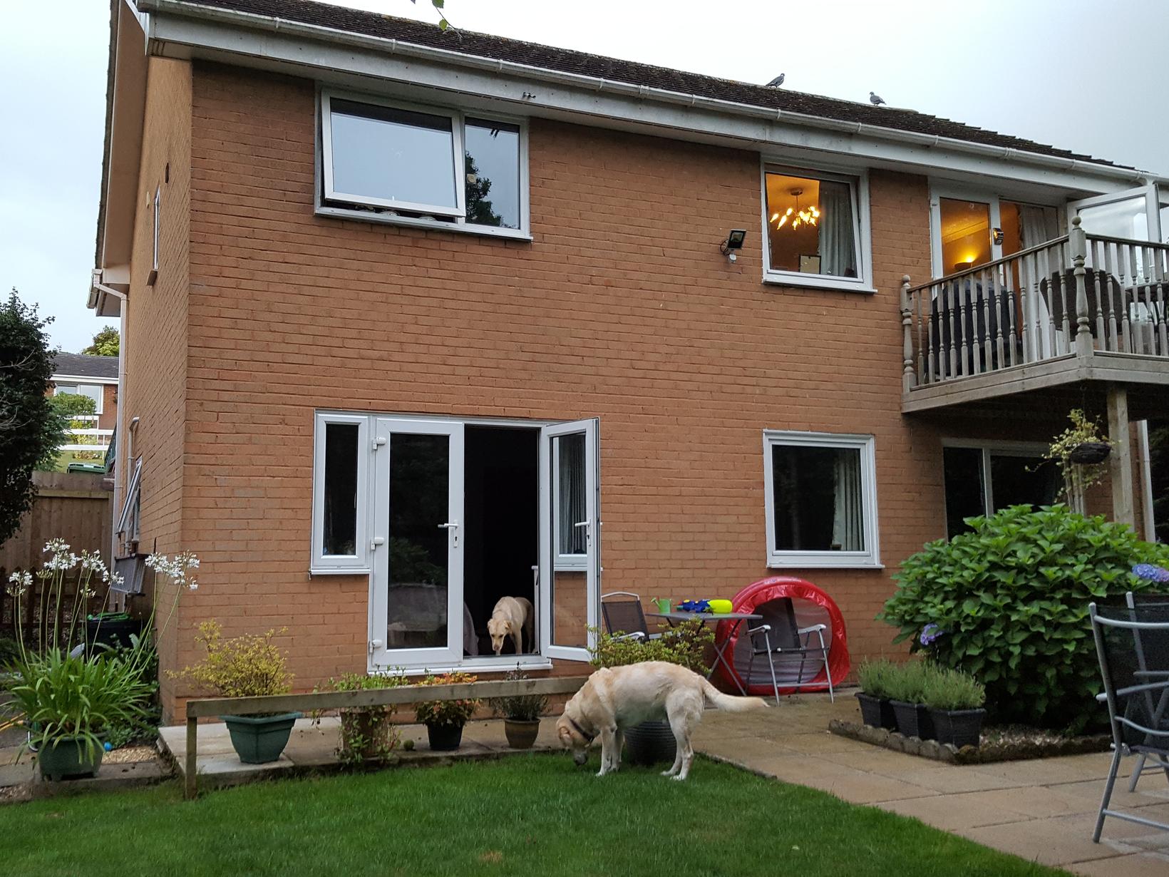 Housesitting assignment in Exeter, United Kingdom
