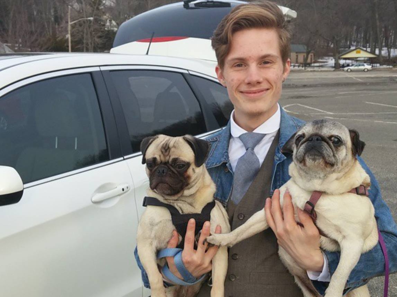 William from East Northport, New York, United States