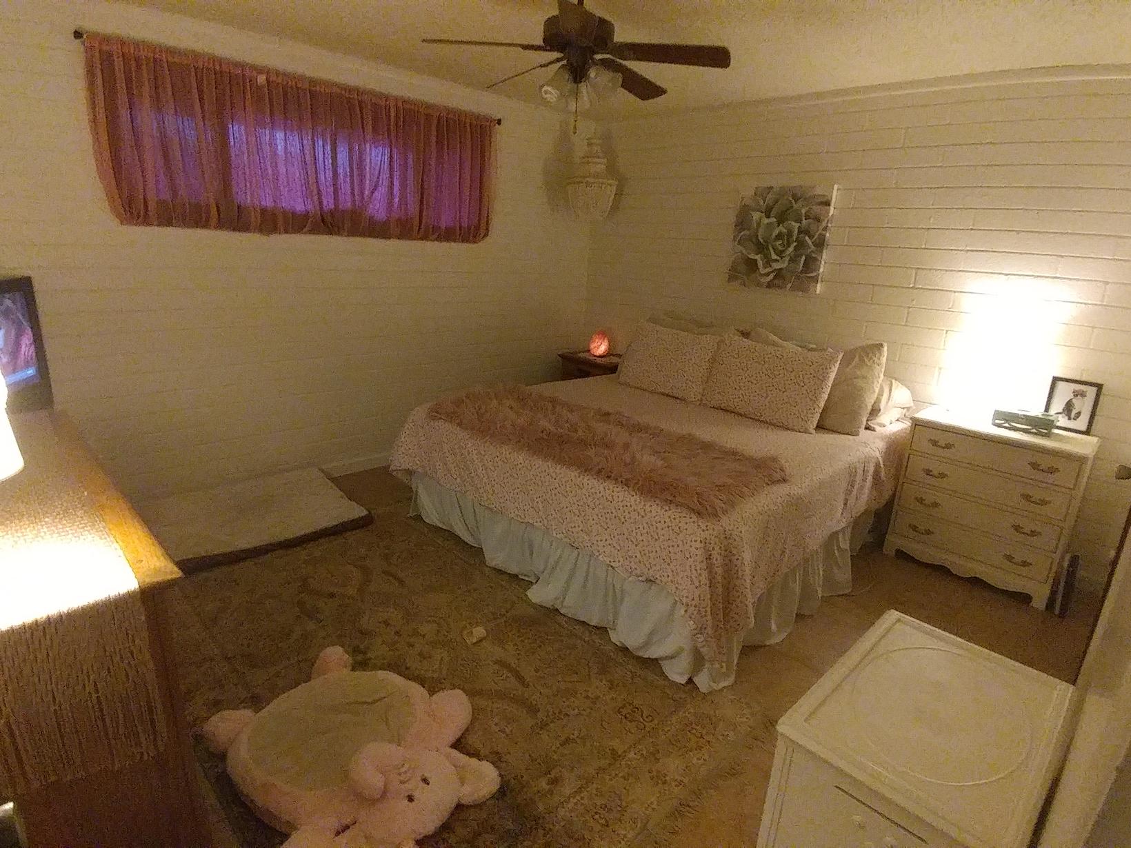 Housesitting assignment in Phoenix, Arizona, United States