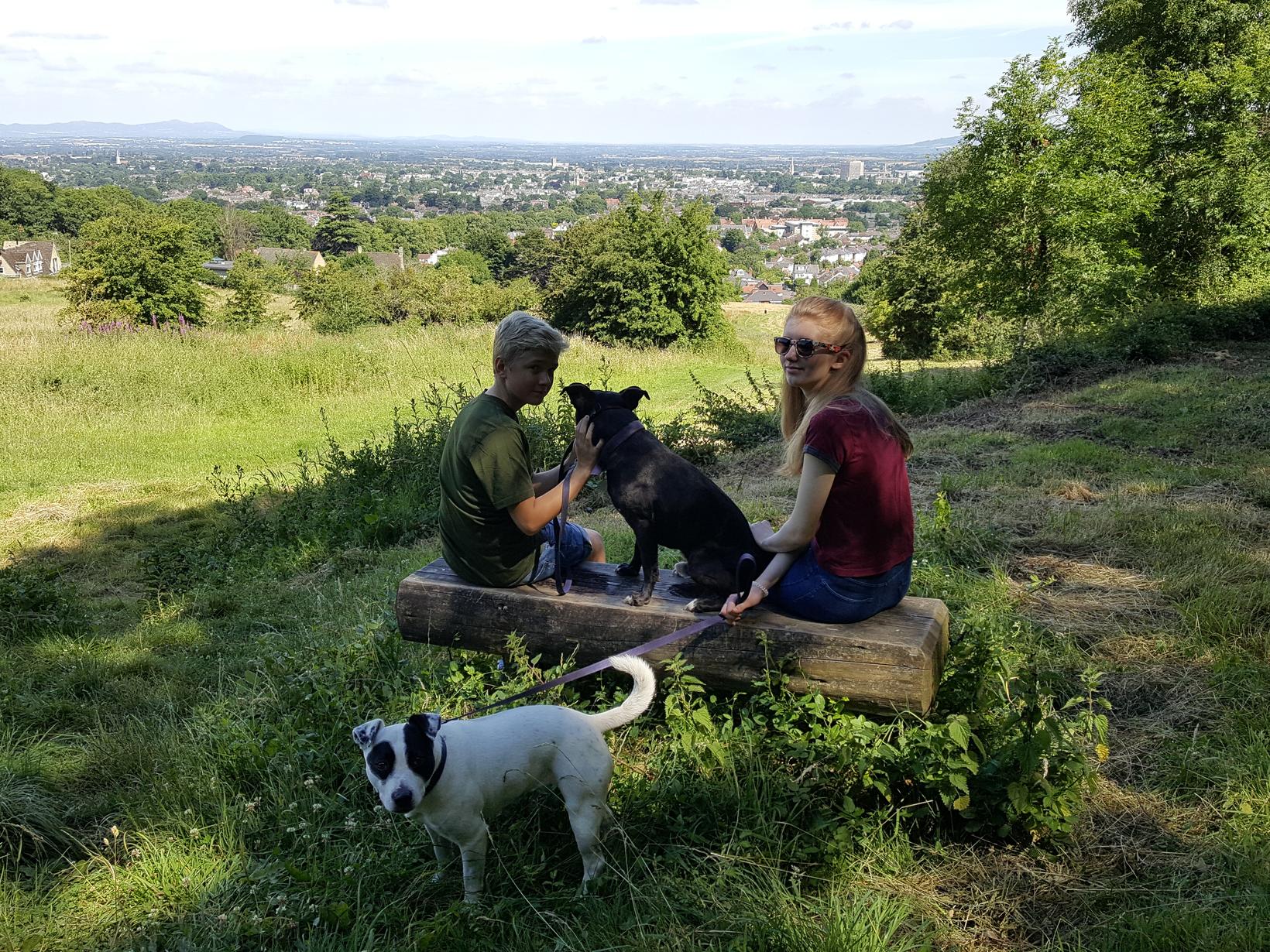 Housesitting assignment in Cheltenham, United Kingdom