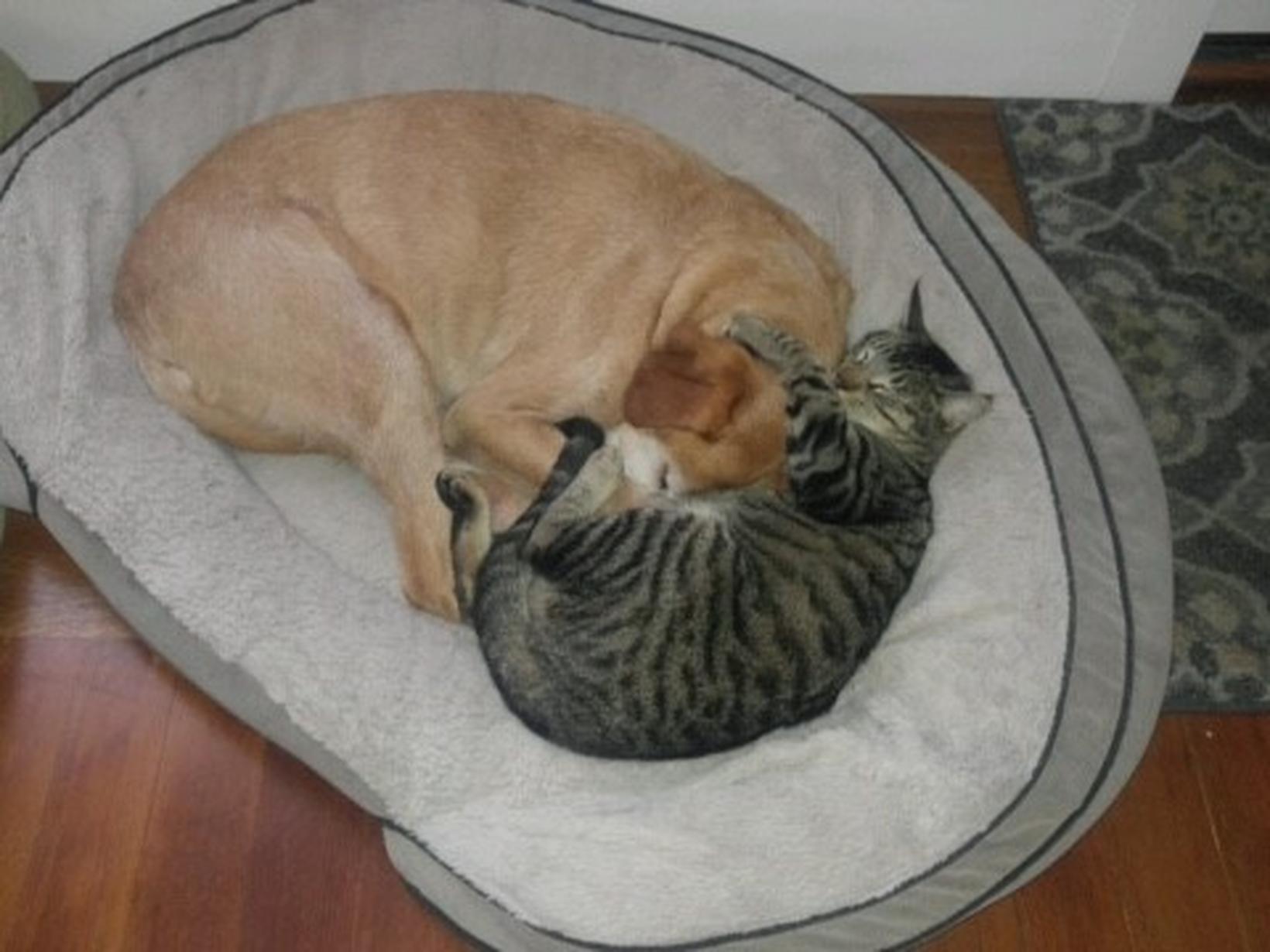 Jamie & Cable from Lodi, California, United States
