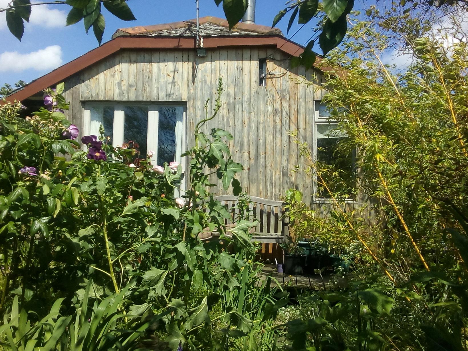 Housesitting assignment in Norwich, United Kingdom