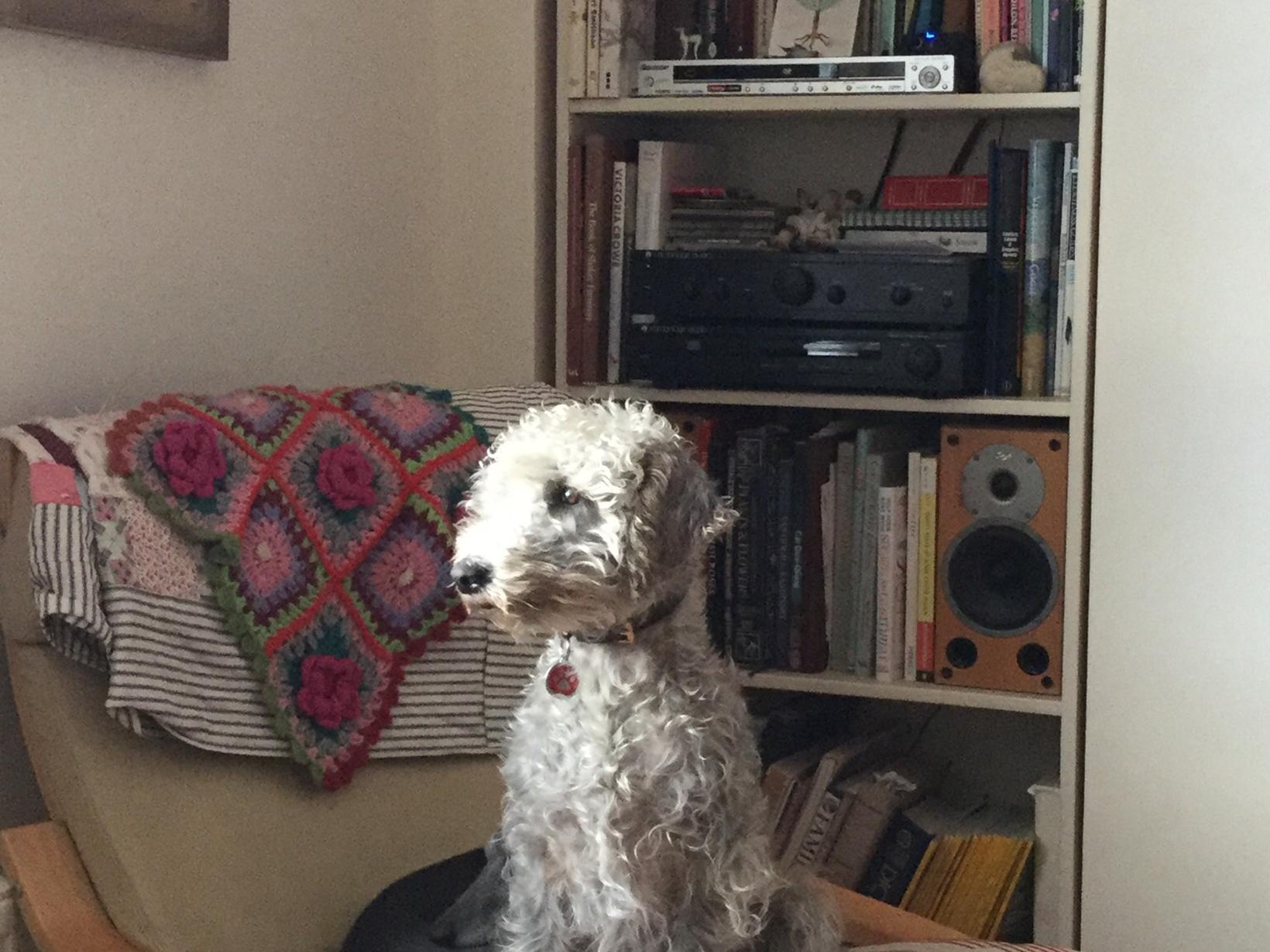 Penny & Paul from Edinburgh, United Kingdom