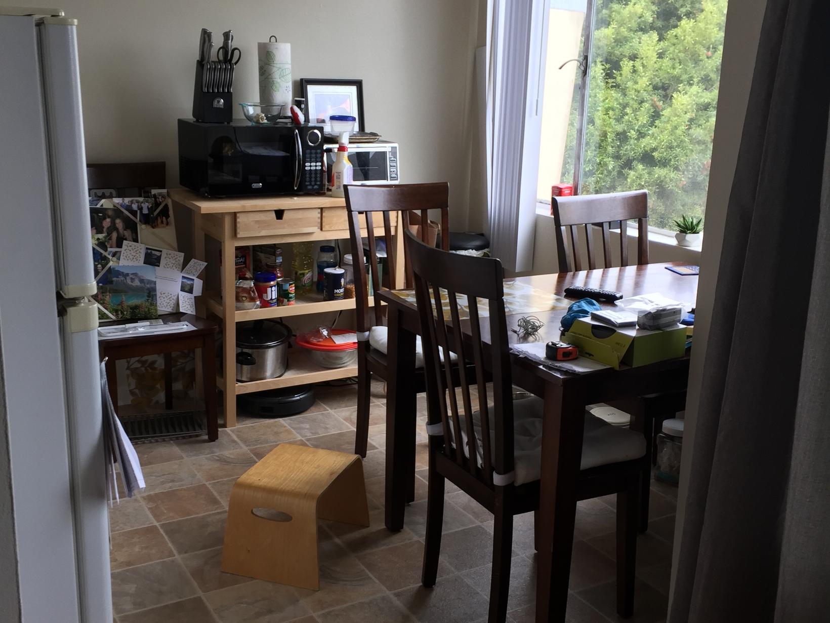 Housesitting assignment in San Francisco, California, United States