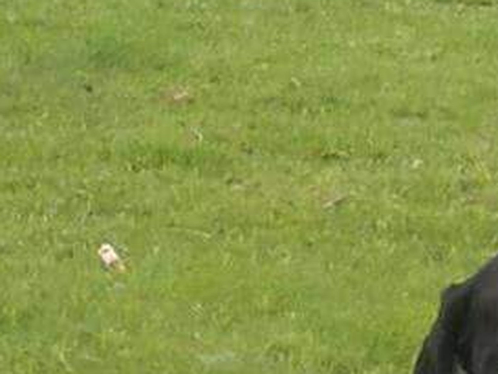 Emma from Colchester, United Kingdom