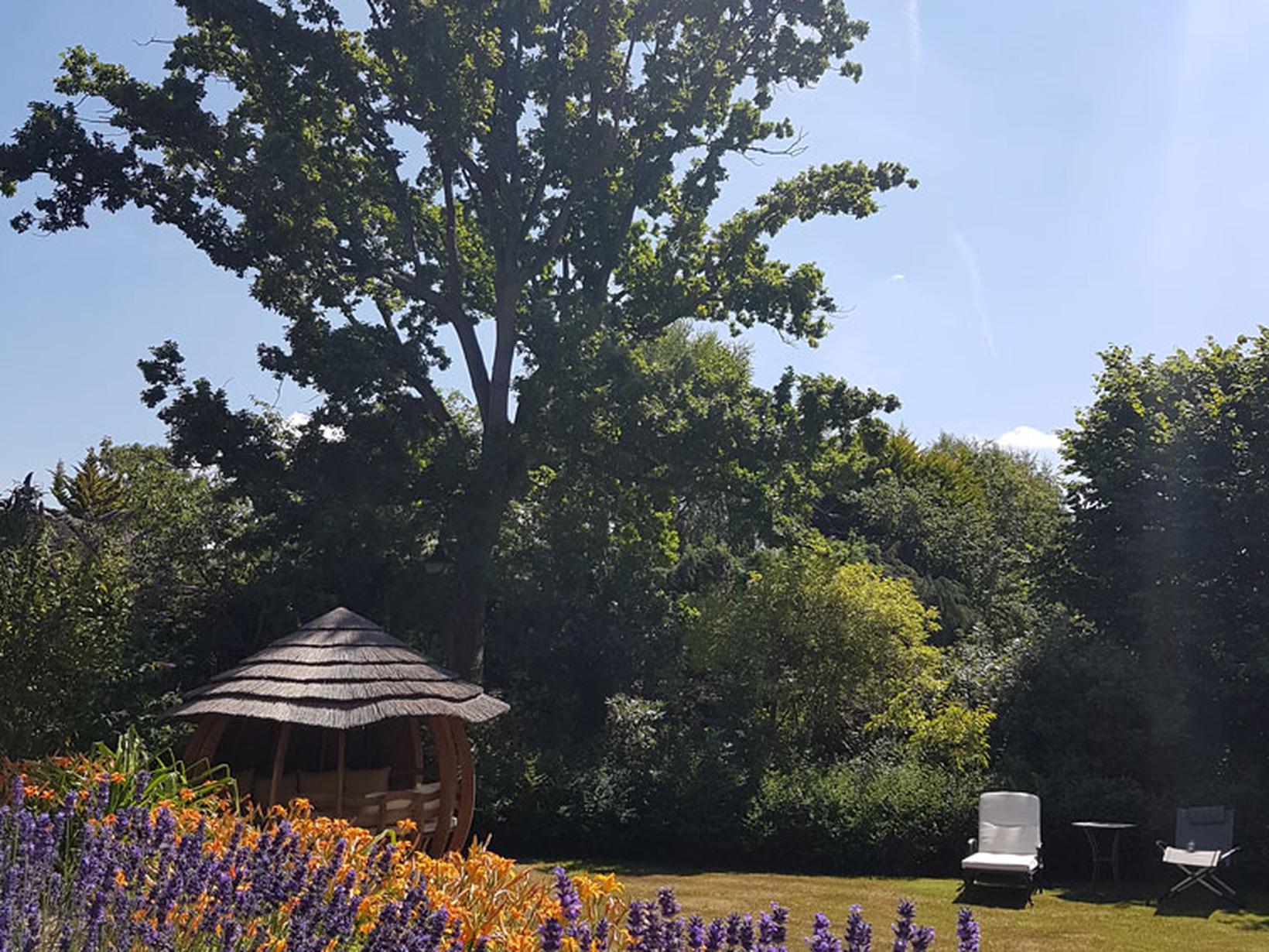 Housesitting assignment in Esher, United Kingdom