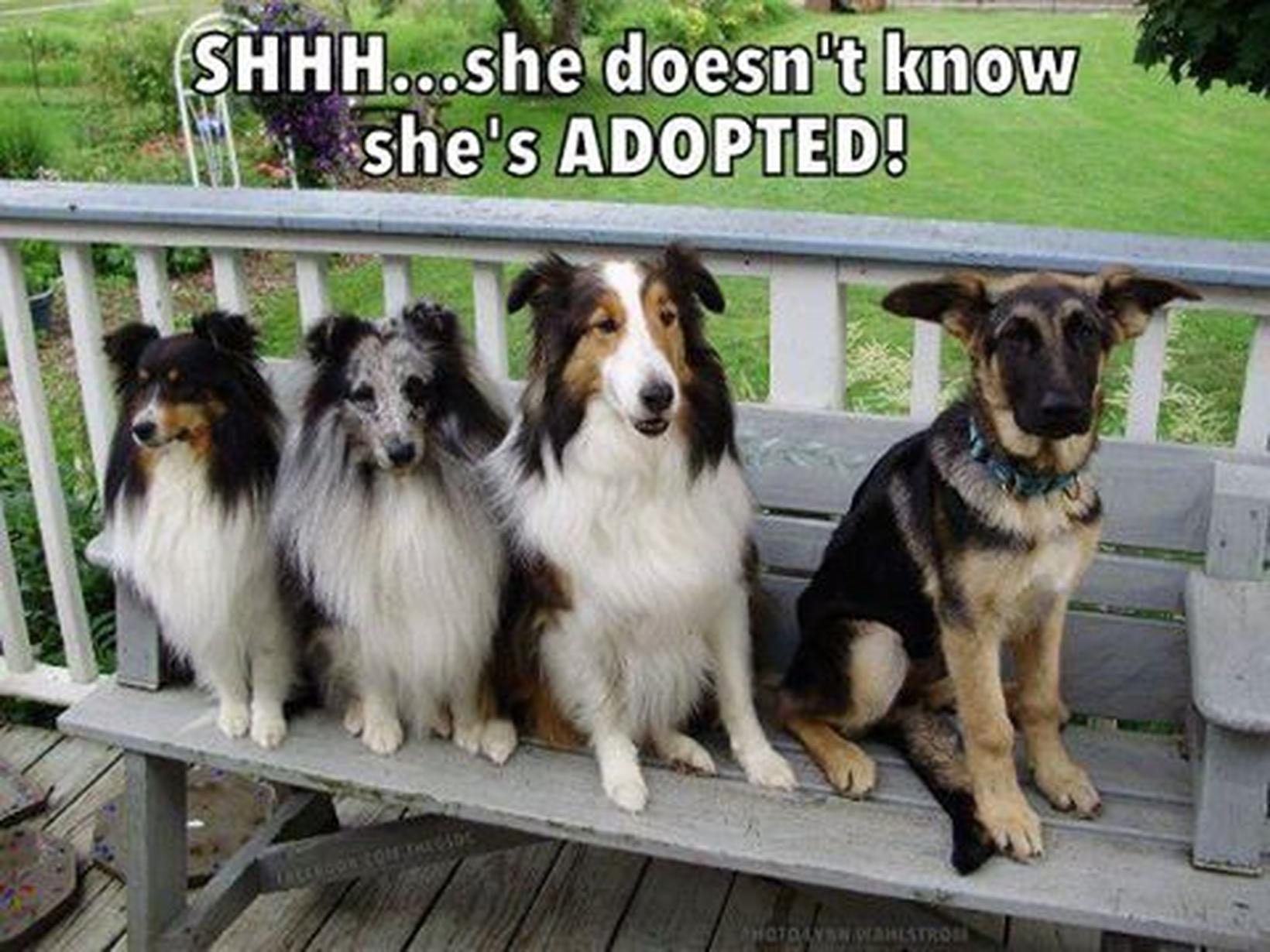 Jen from Grafton, New Zealand
