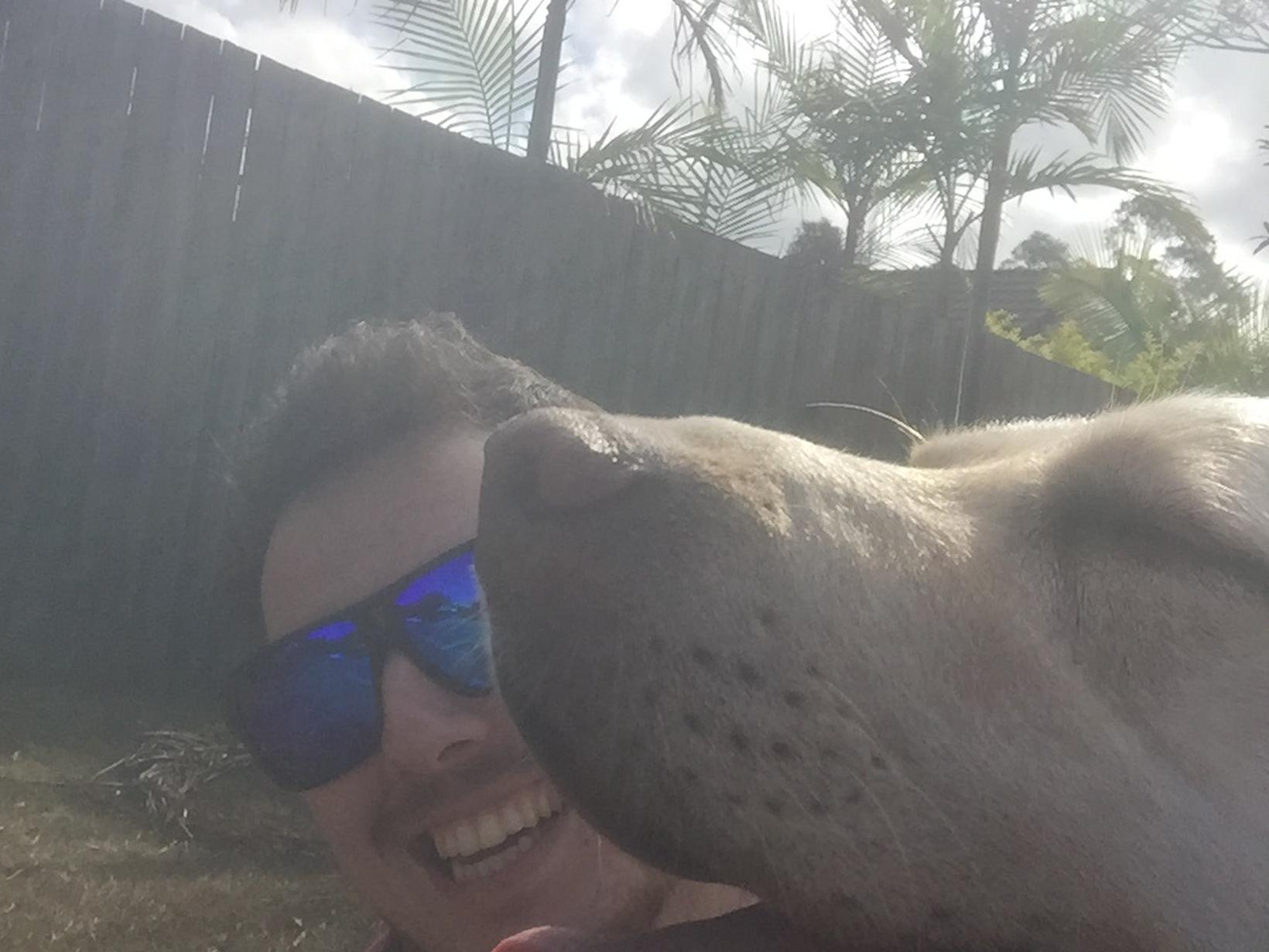 Logan from Sunshine Coast, Queensland, Australia