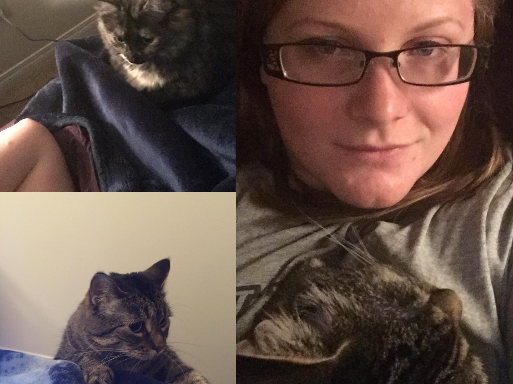 Stephanie from Edmonton, Alberta, Canada