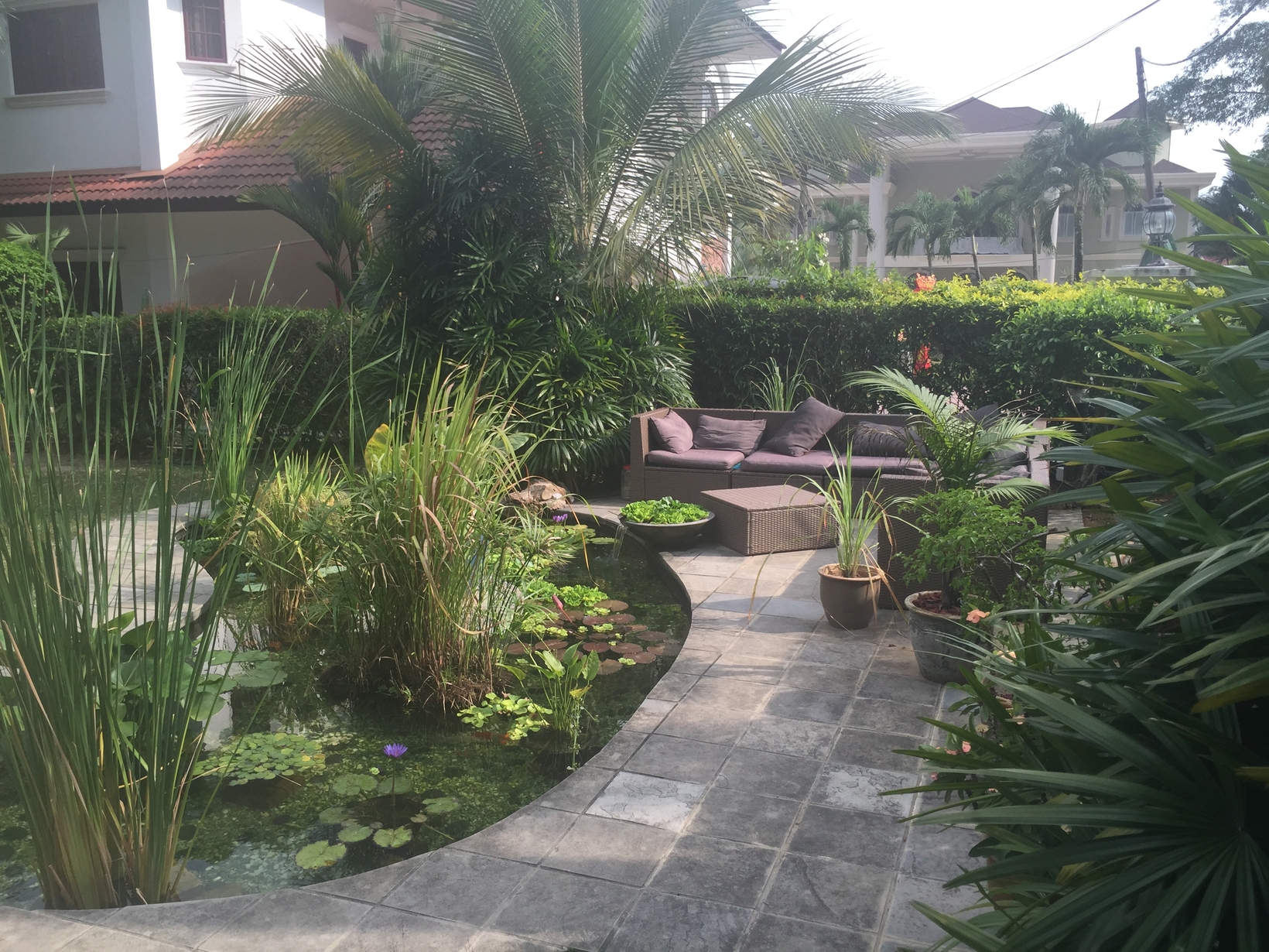 Housesitting assignment in Kuala Lumpur, Malaysia