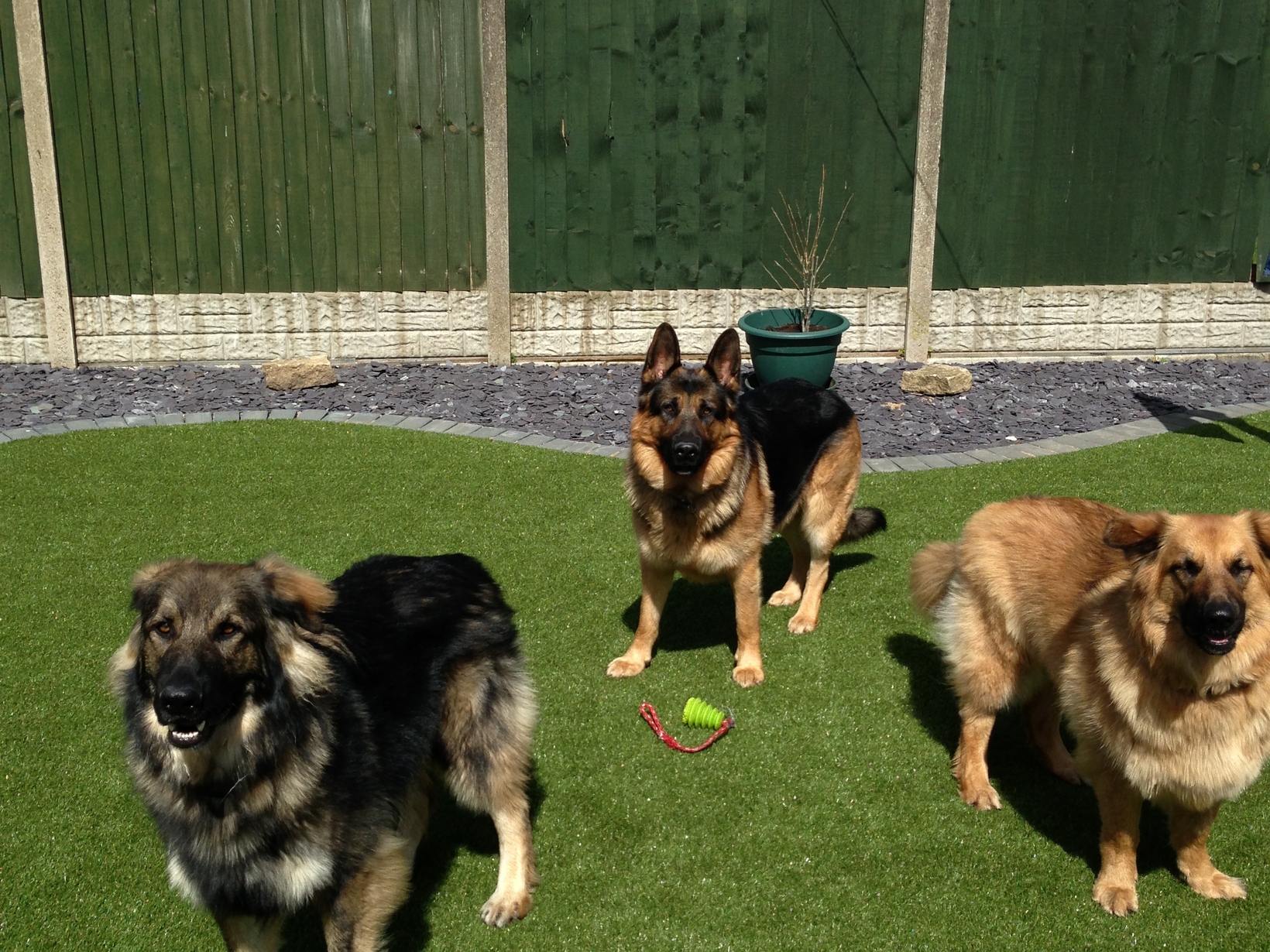 Housesitting assignment in Goole, United Kingdom