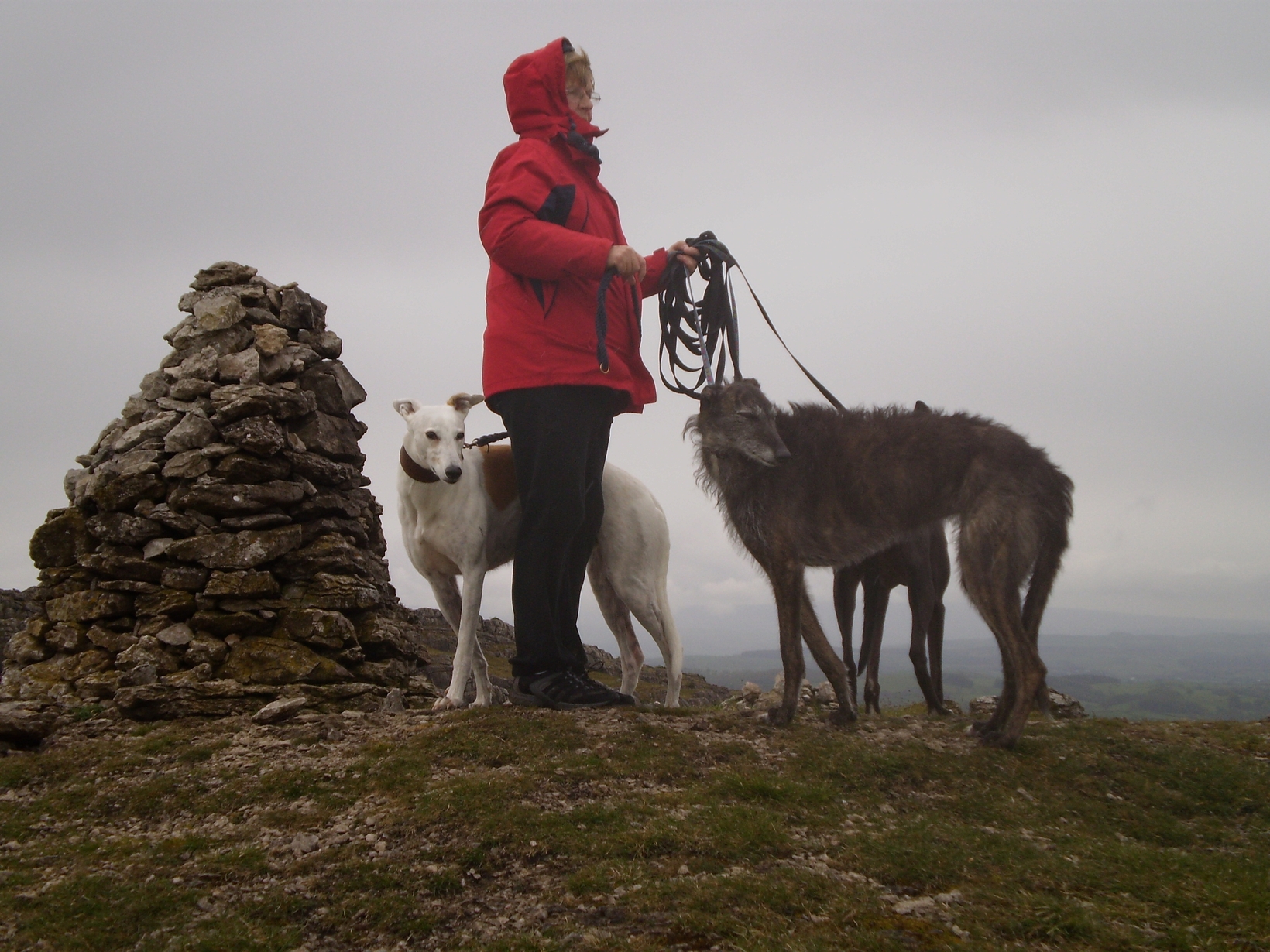 Pauline from Kendal, United Kingdom
