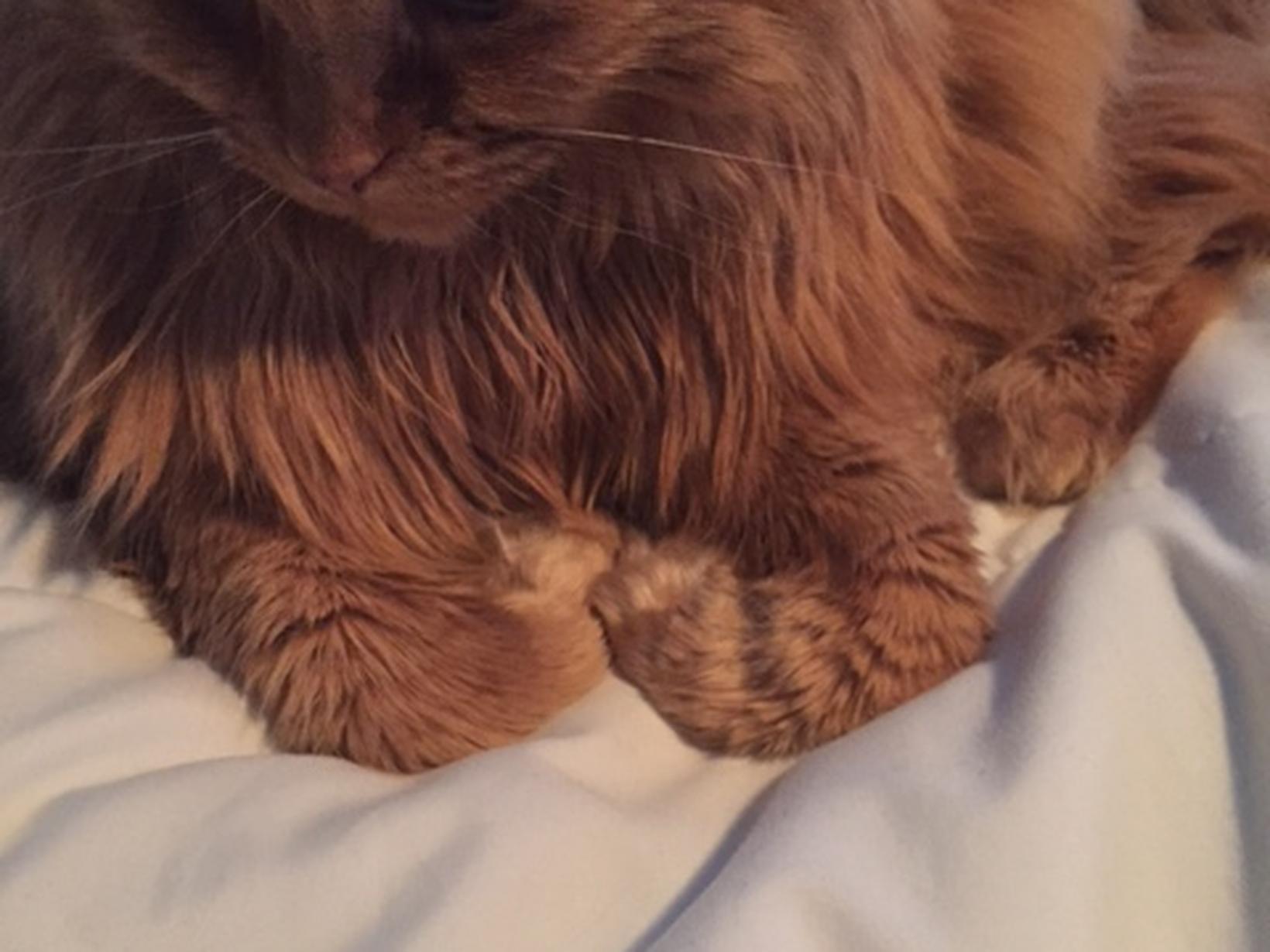 Shawna from Vancouver, British Columbia, Canada