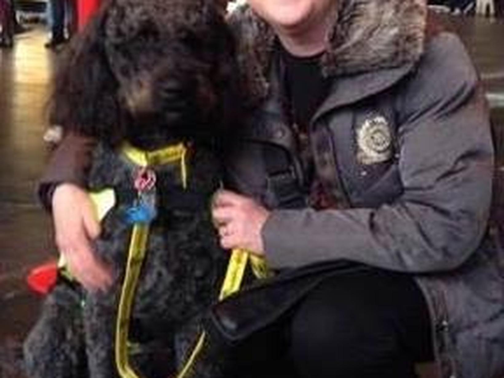Sarah from Ludlow, United Kingdom