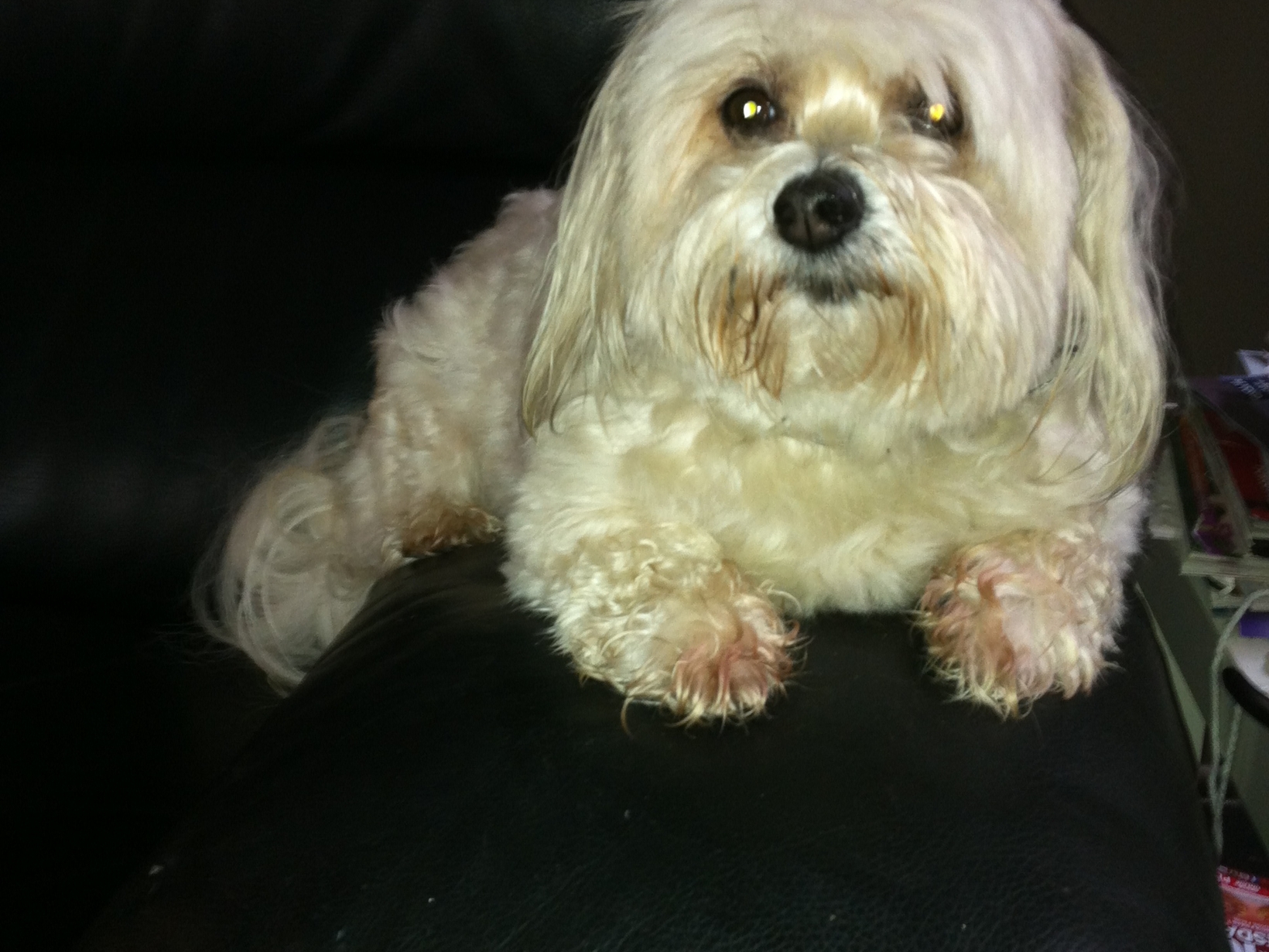 Sally from Brisbane, Queensland, Australia