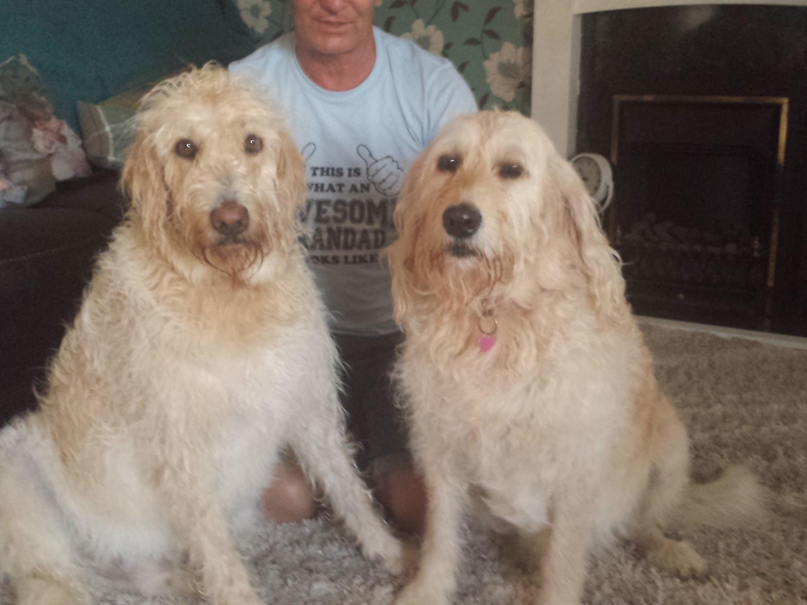 Housesitting assignment in Eastbourne, United Kingdom