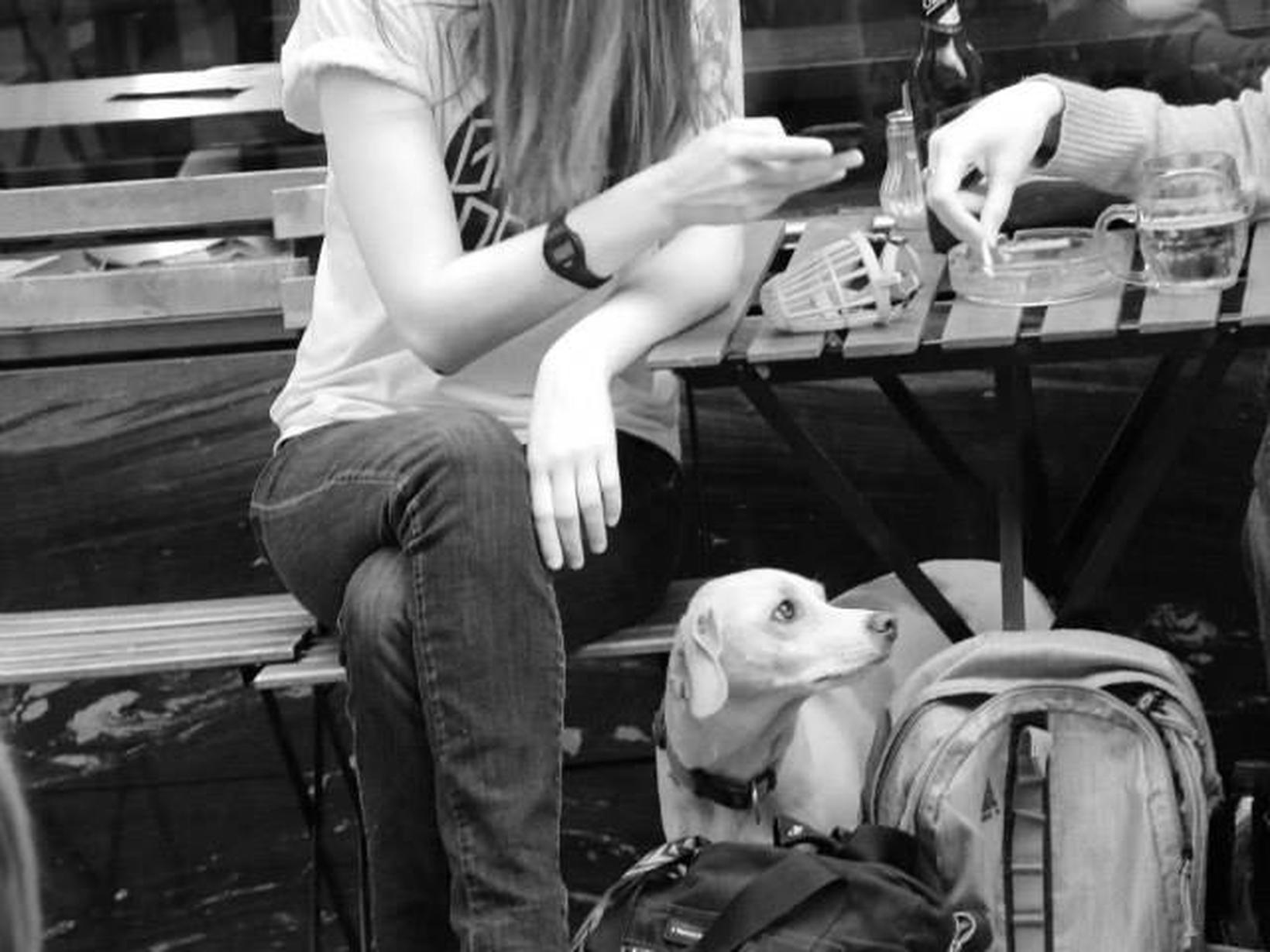 Darina from Brno, Czech Republic