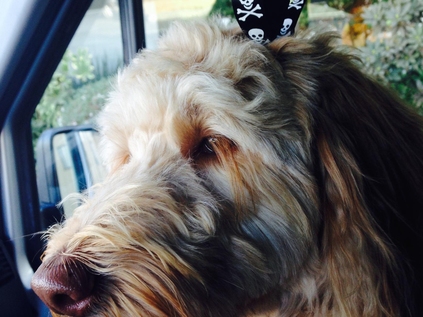 Dana from San Carlos, California, United States