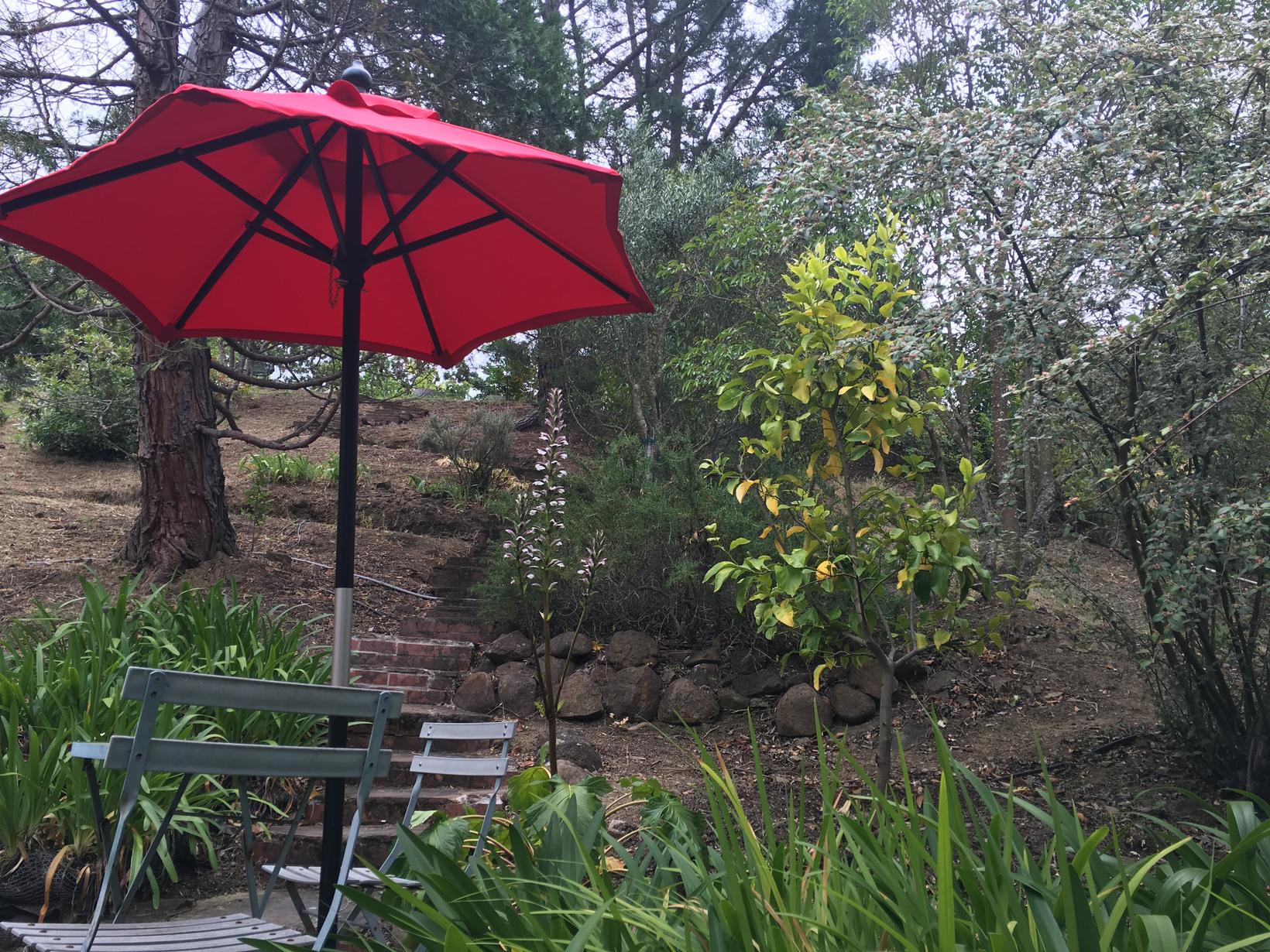 Housesitting assignment in Novato, California, United States