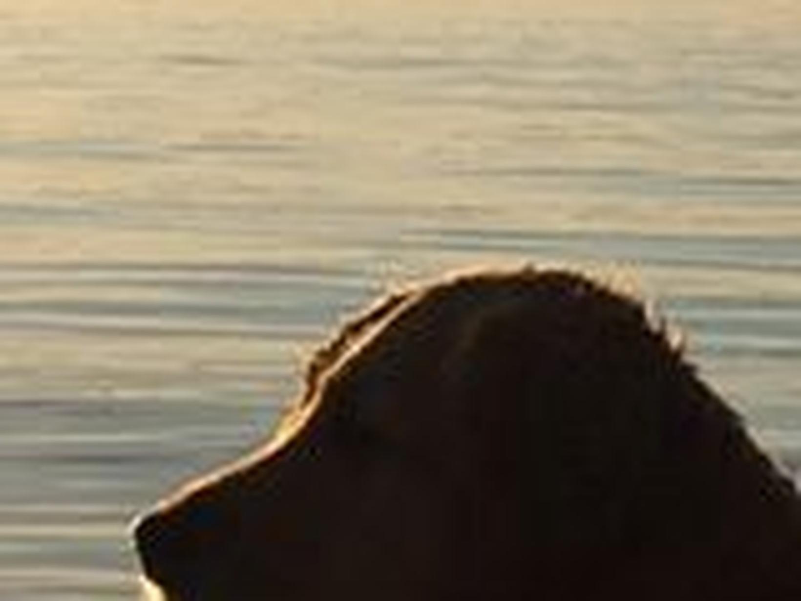 Carly & Steven from Toronto, Ontario, Canada