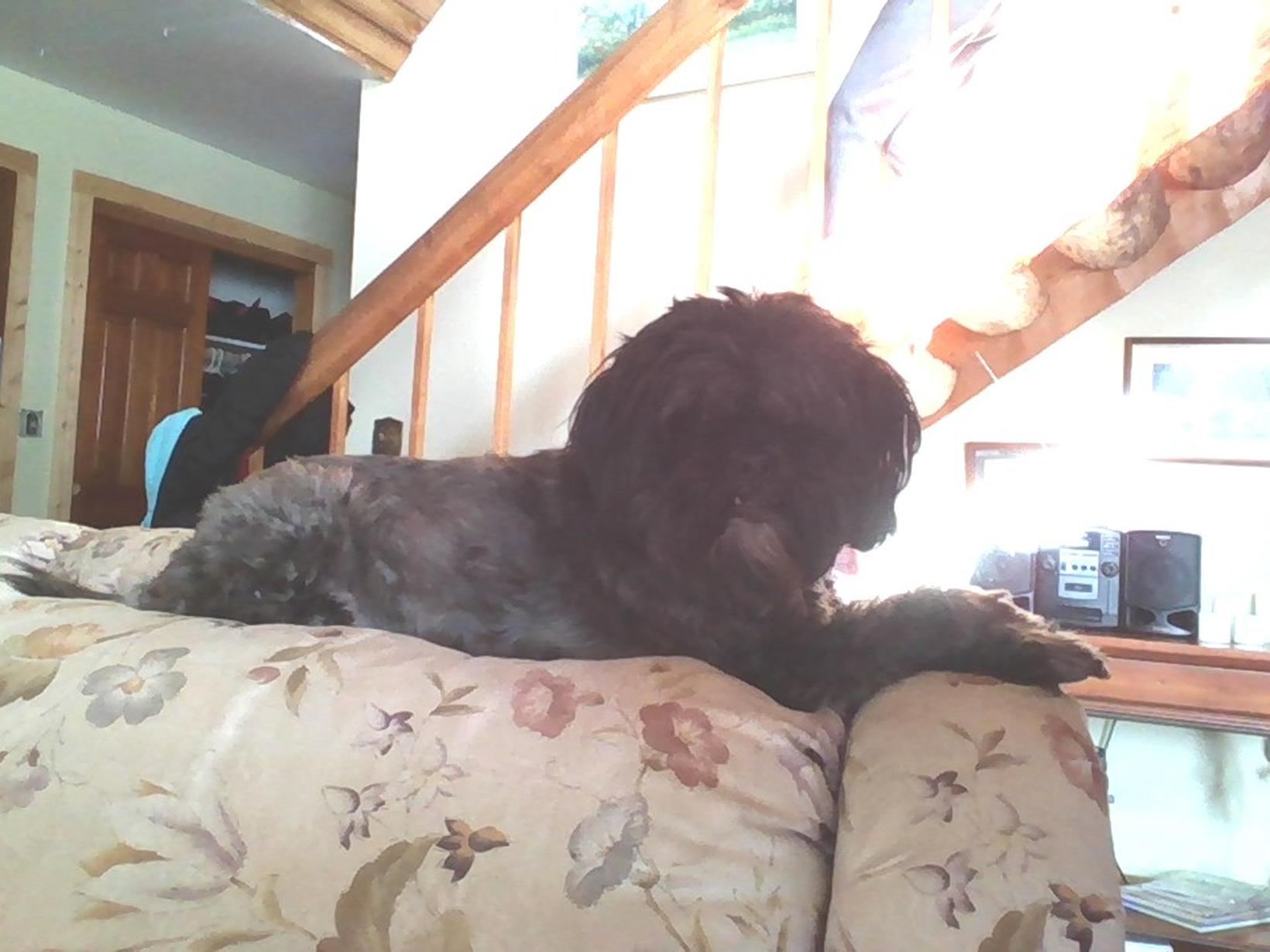 Housesitting assignment in Glidden, Wisconsin, United States