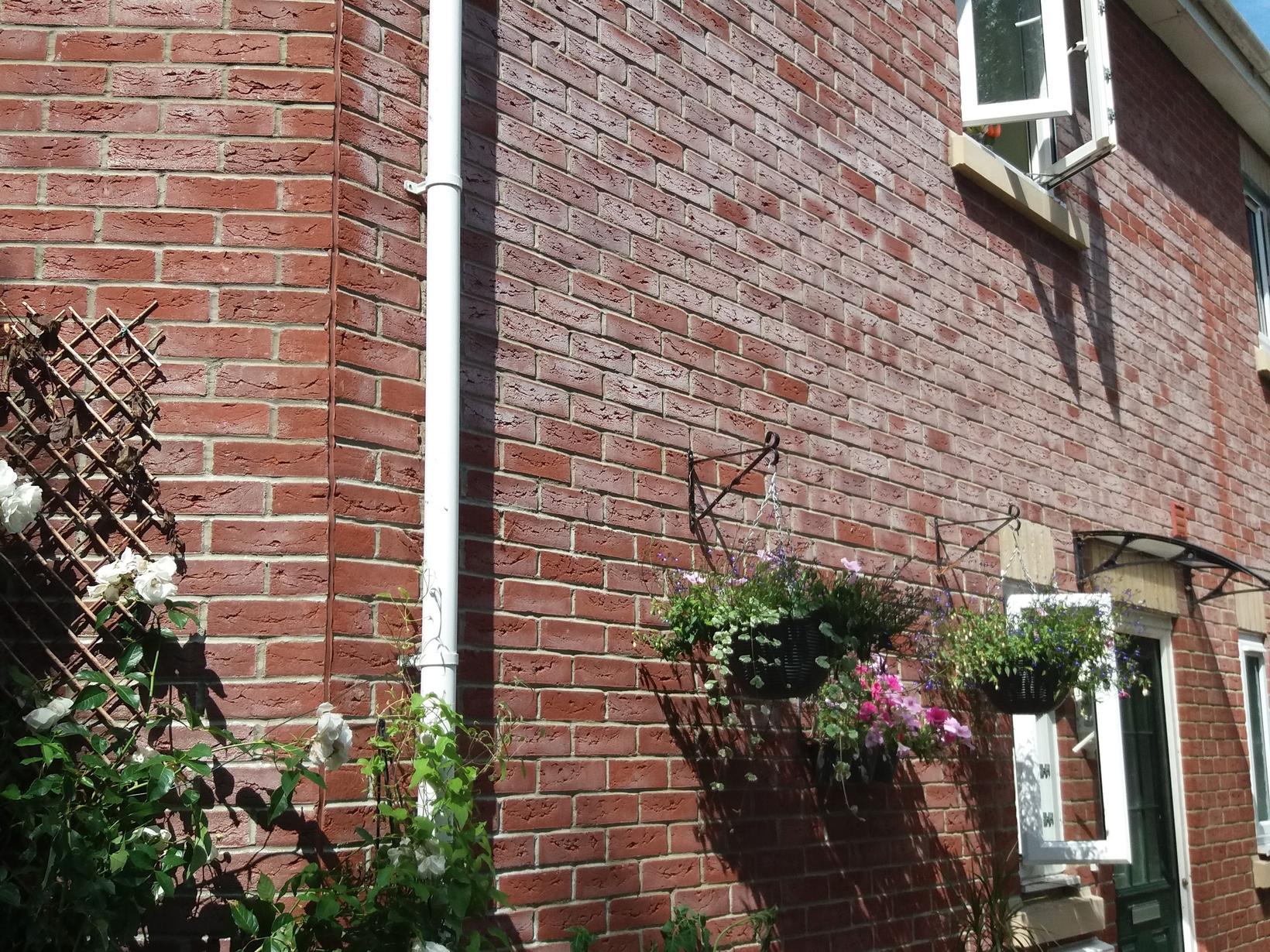 Housesitting assignment in Glastonbury, United Kingdom