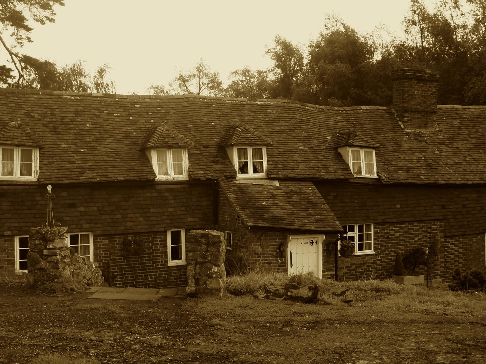 Housesitting assignment in Maidstone, United Kingdom