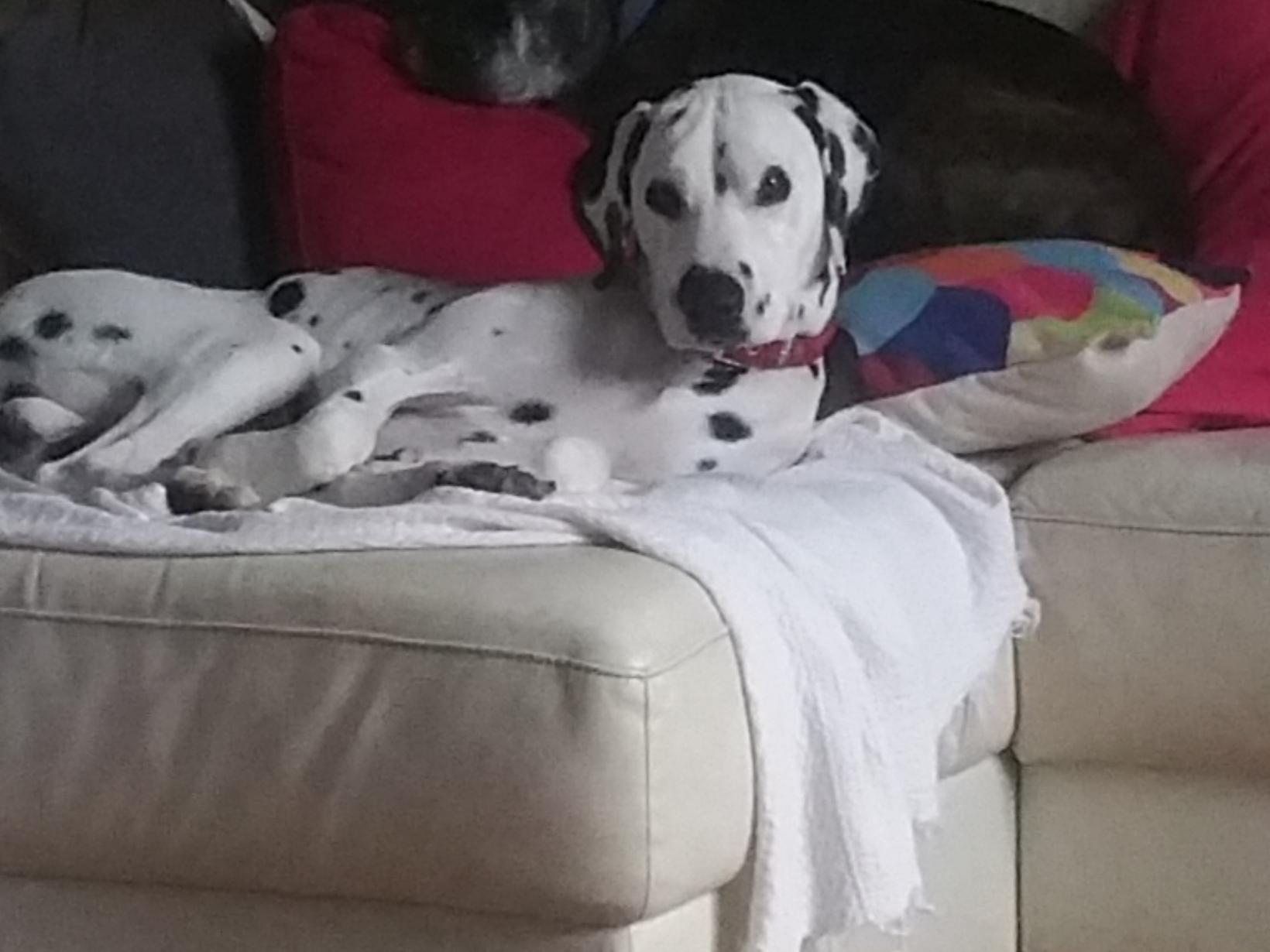 Housesitting assignment in Elleker, Western Australia, Australia