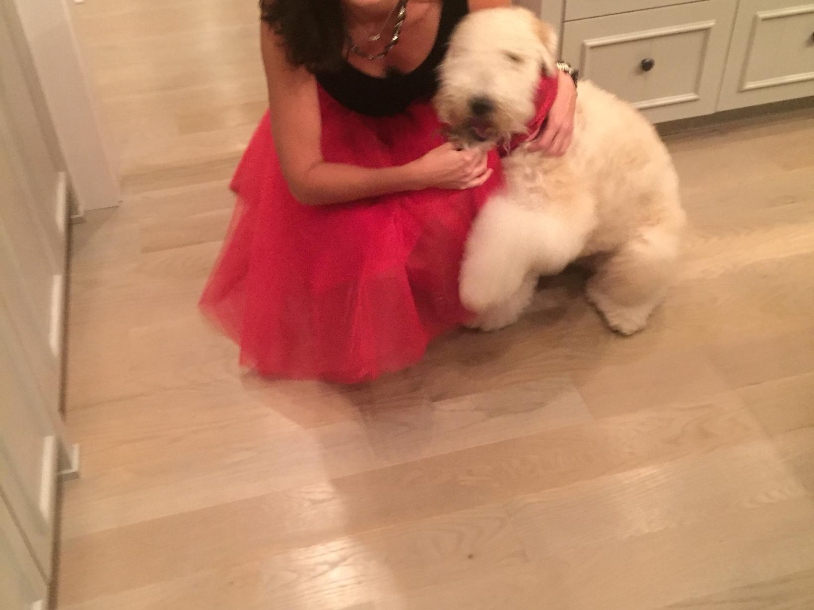 Melanie from Saint Petersburg, Florida, United States