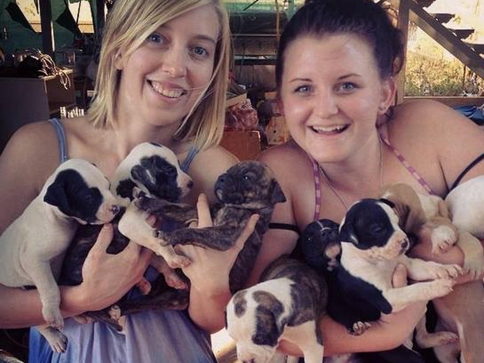 Kate from Brisbane, Queensland, Australia