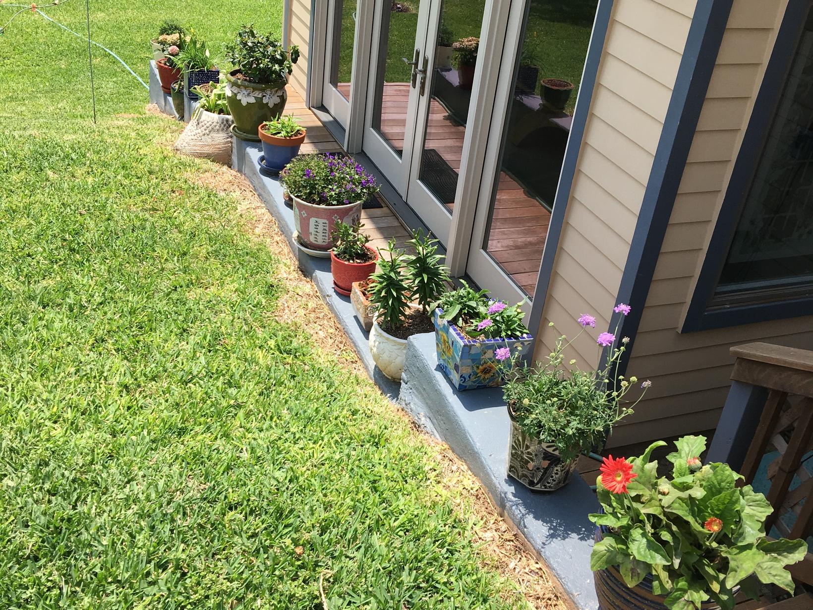 Housesitting assignment in Austin, Texas, United States