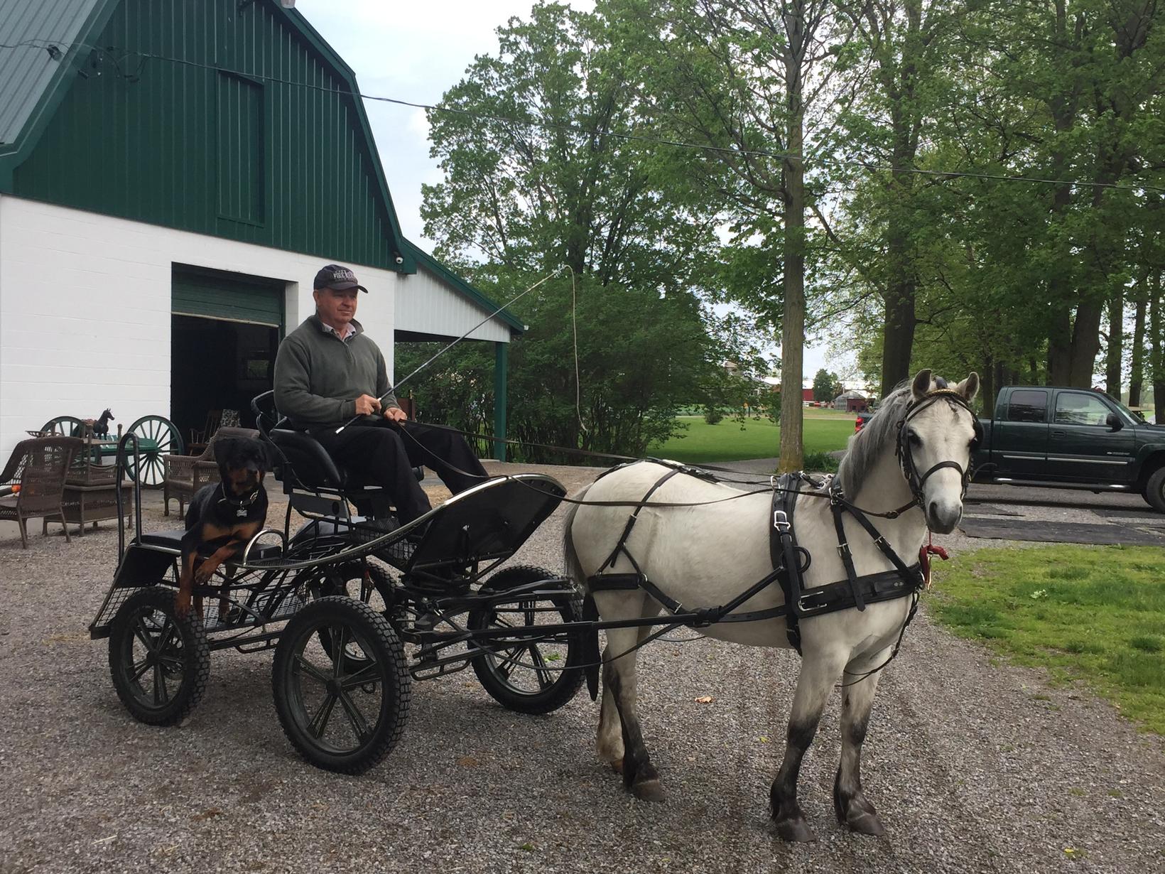 Geoff from Batavia, New York, United States