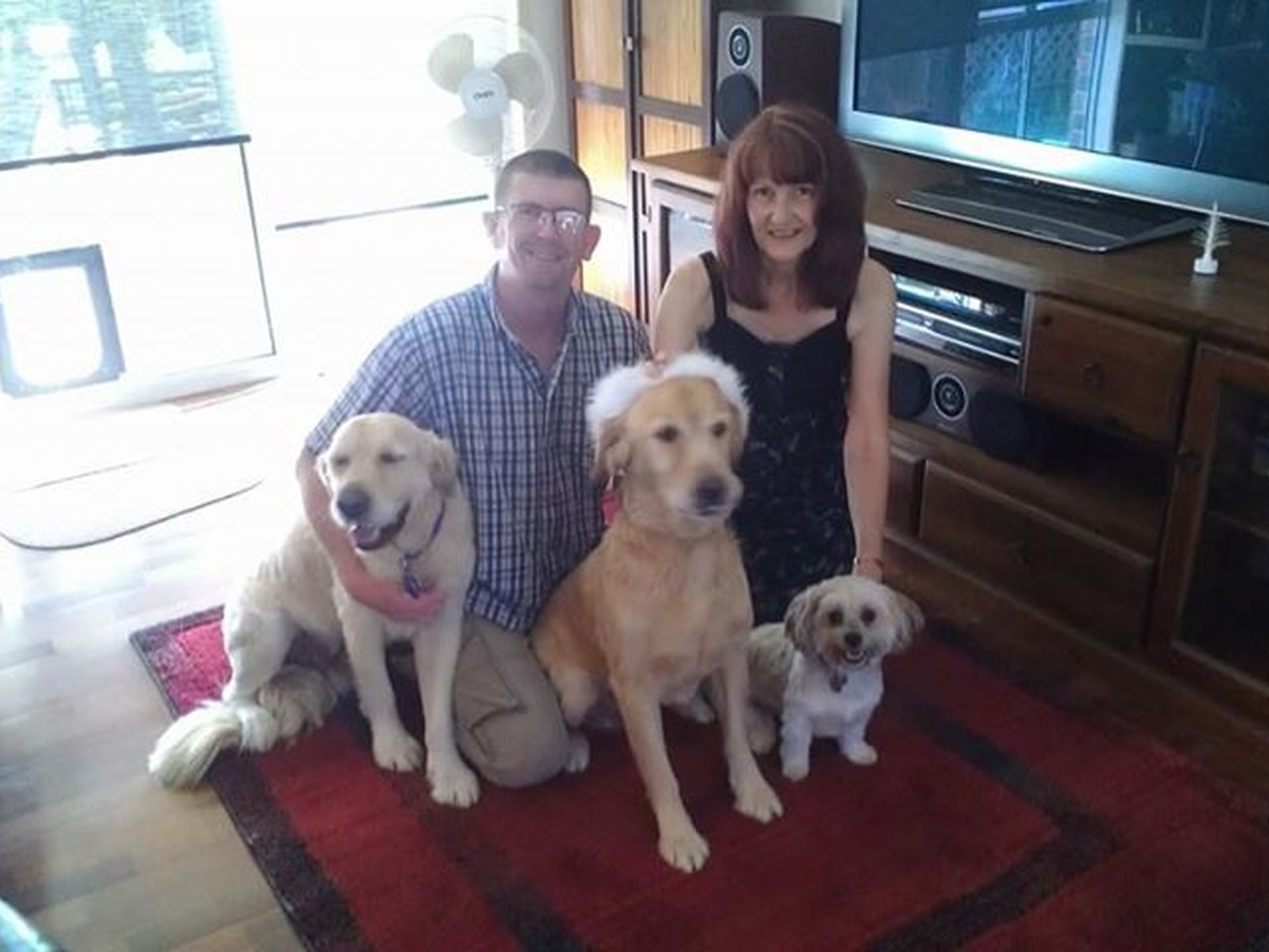 Housesitting assignment in Brisbane, Queensland, Australia