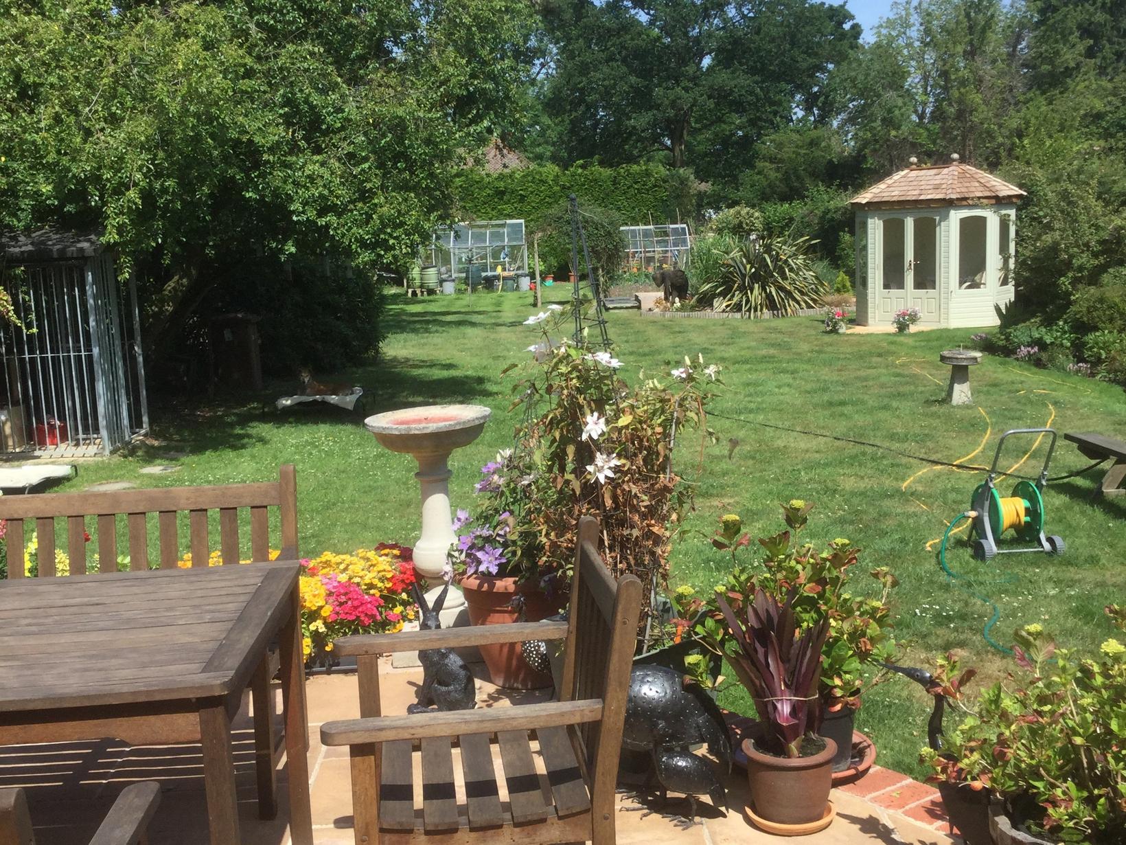 Housesitting assignment in Guildford, United Kingdom