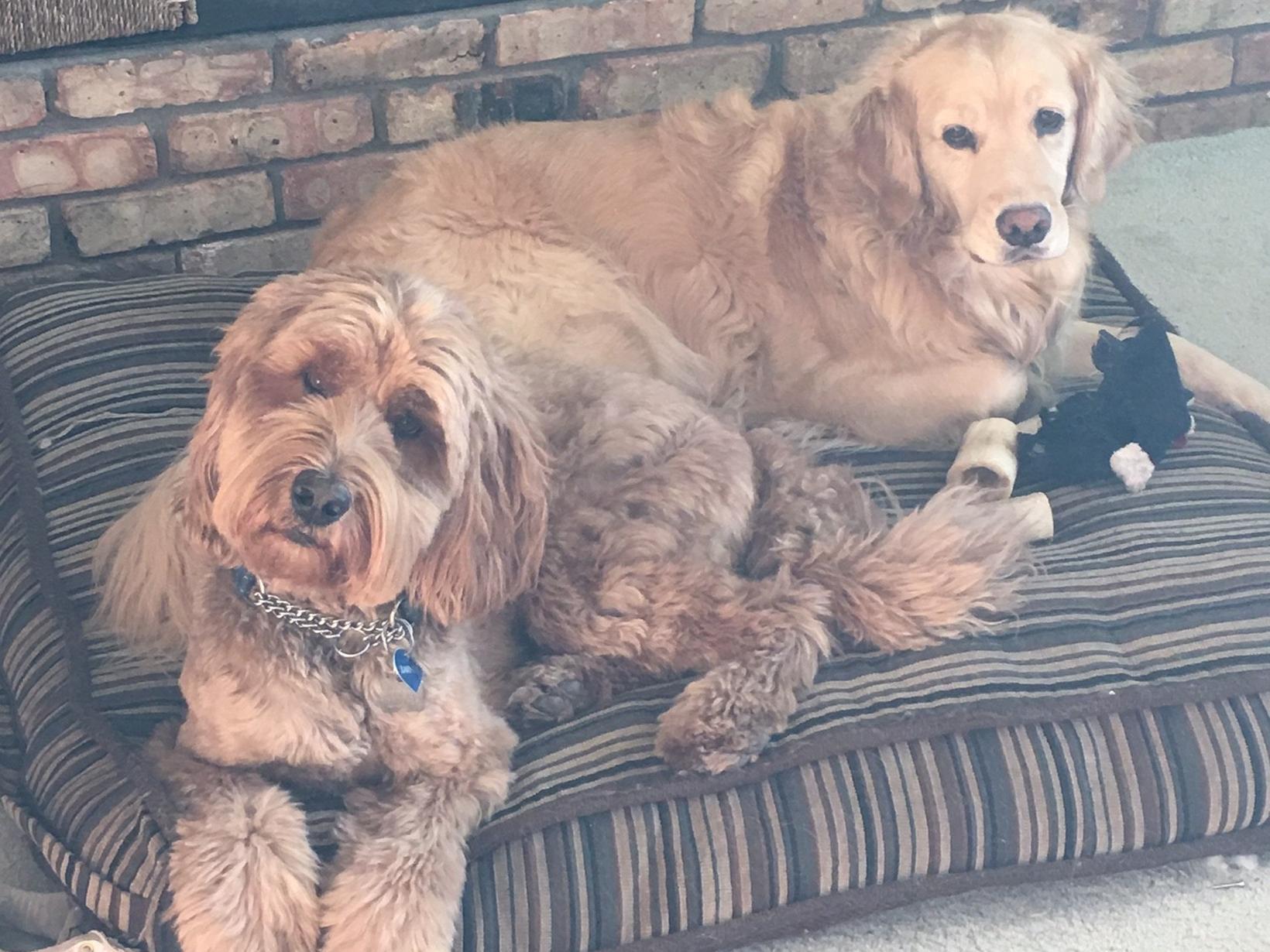 Erin from Calgary, Alberta, Canada