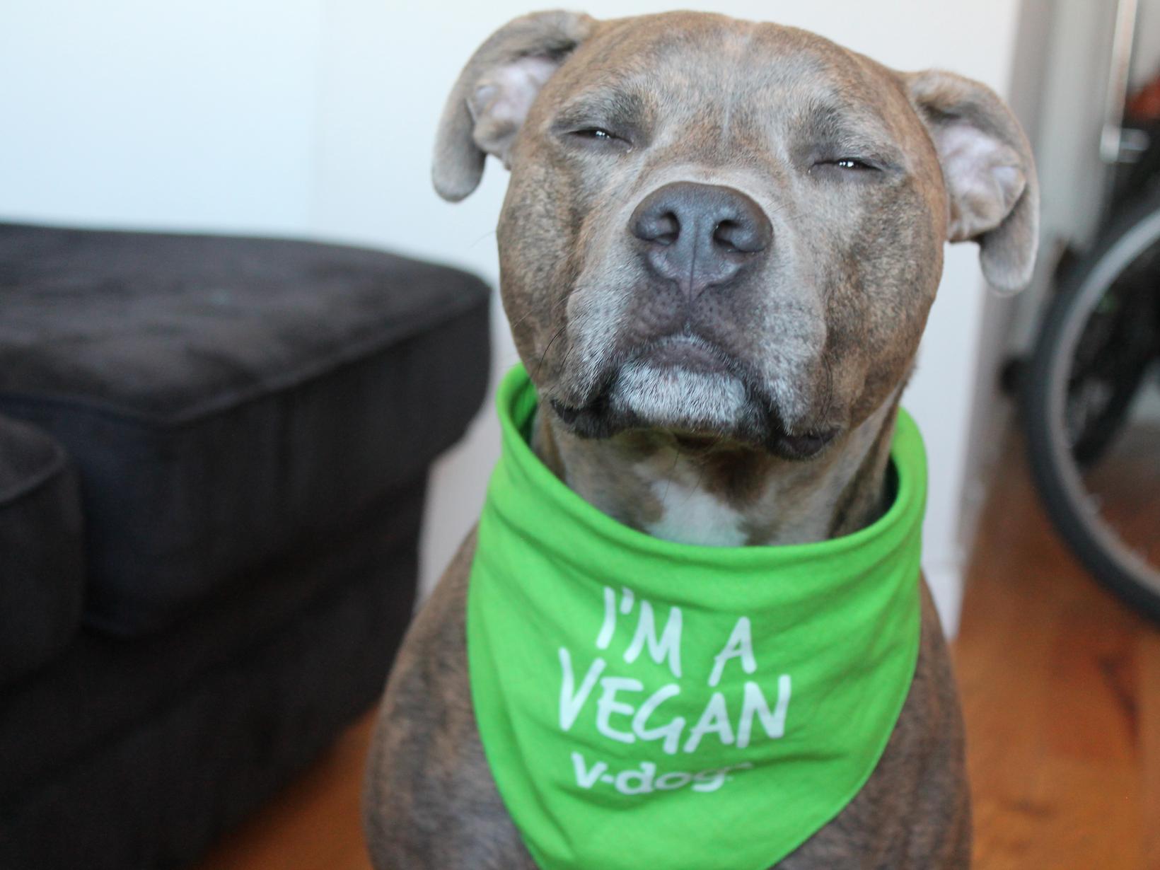 Kiki from New York City, New York, United States