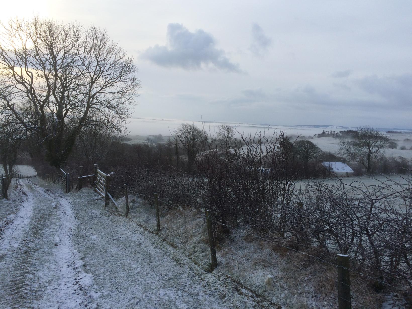 Housesitting assignment in Lampeter, United Kingdom