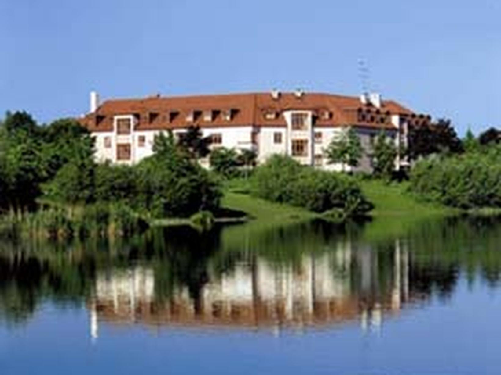 Housesitting assignment in Munich, Germany