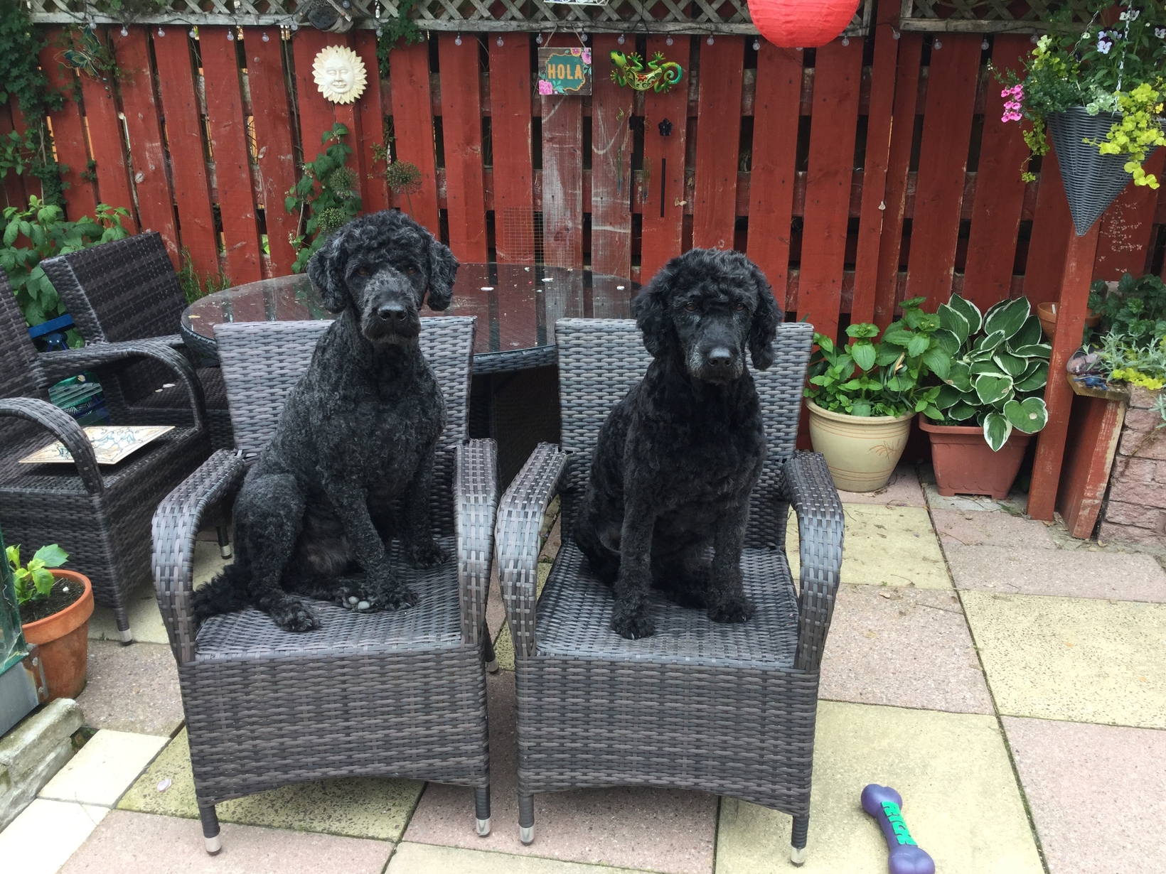 Denise & Franz from Inverness, United Kingdom