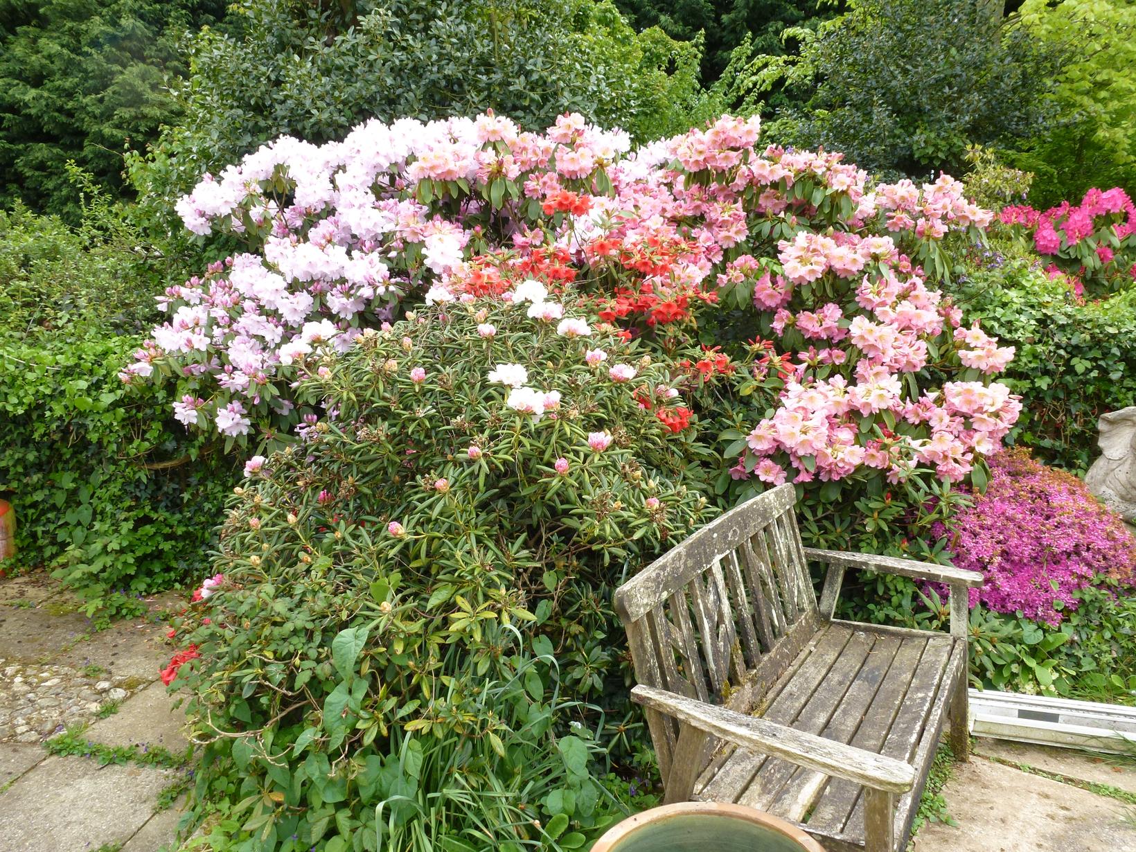 Housesitting assignment in Sandown, United Kingdom